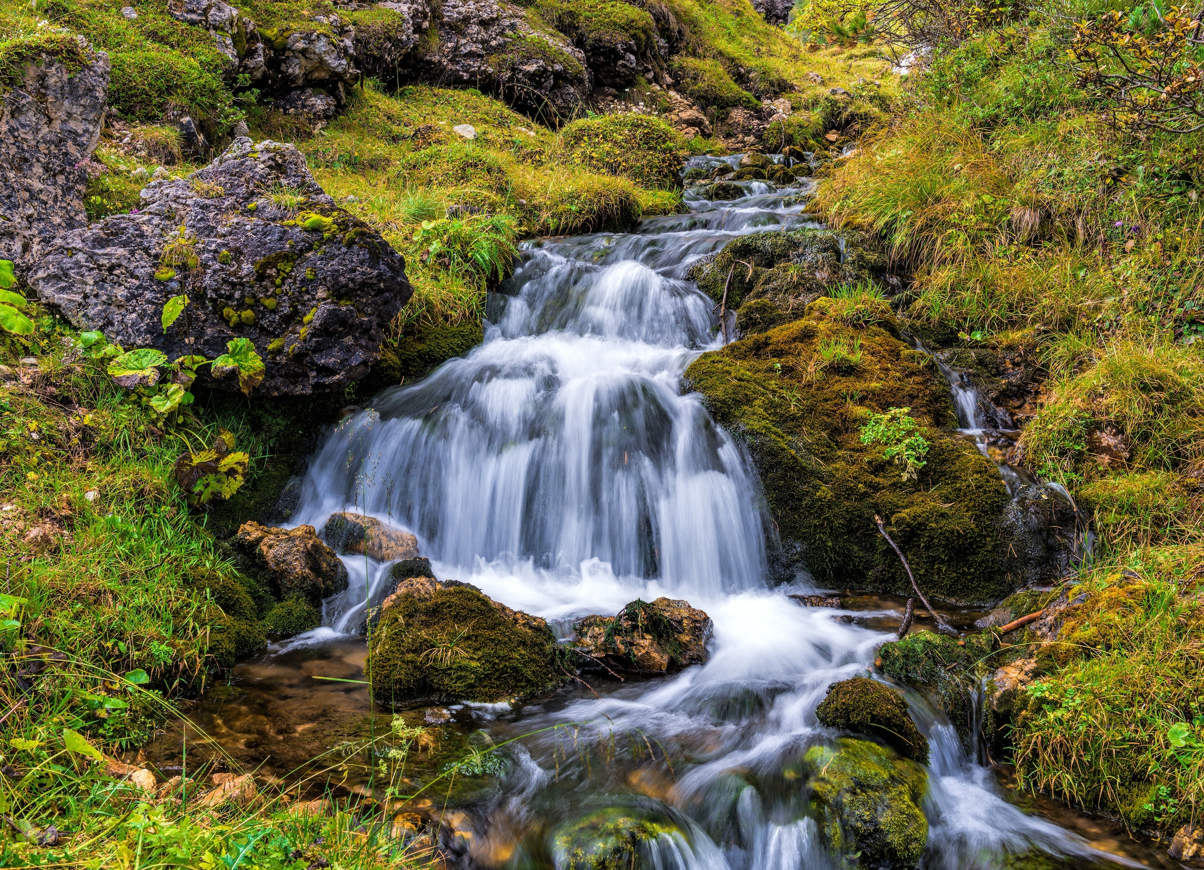 Image of Papermoon Fototapete "Mountain Stream in Dolomites" glatt