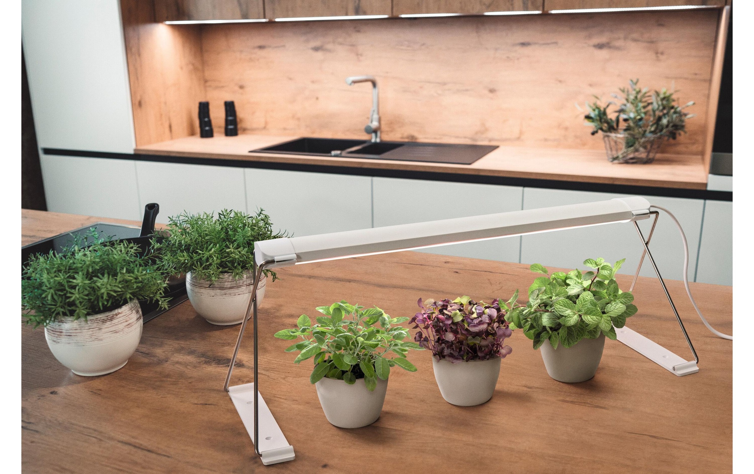 LED Pendelleuchte »Indoor«
