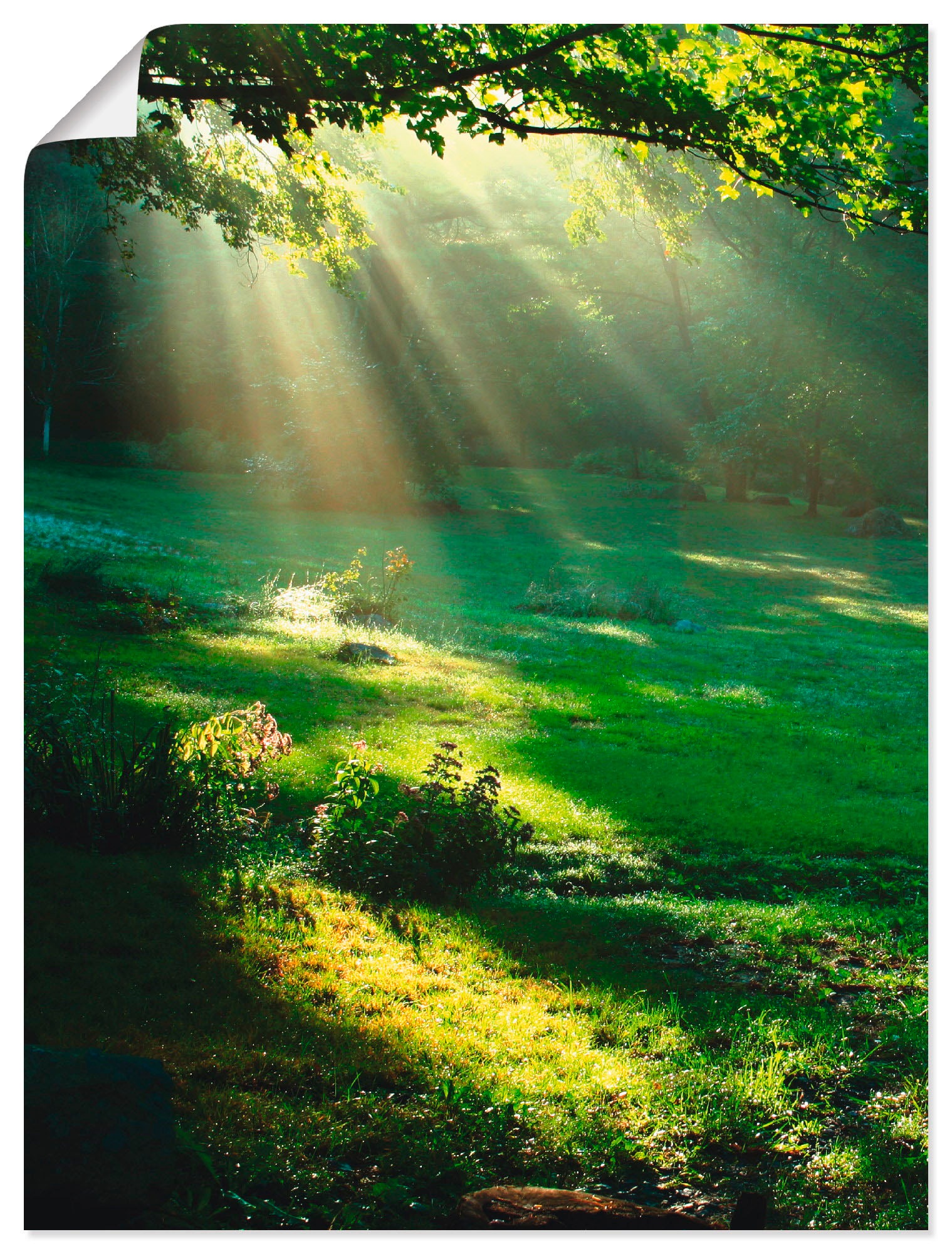 Image of Artland Wandbild "Lichtkegel" Wald 1 Stk. tlg. als Leinwandbild, Poster in verschied. Grössen