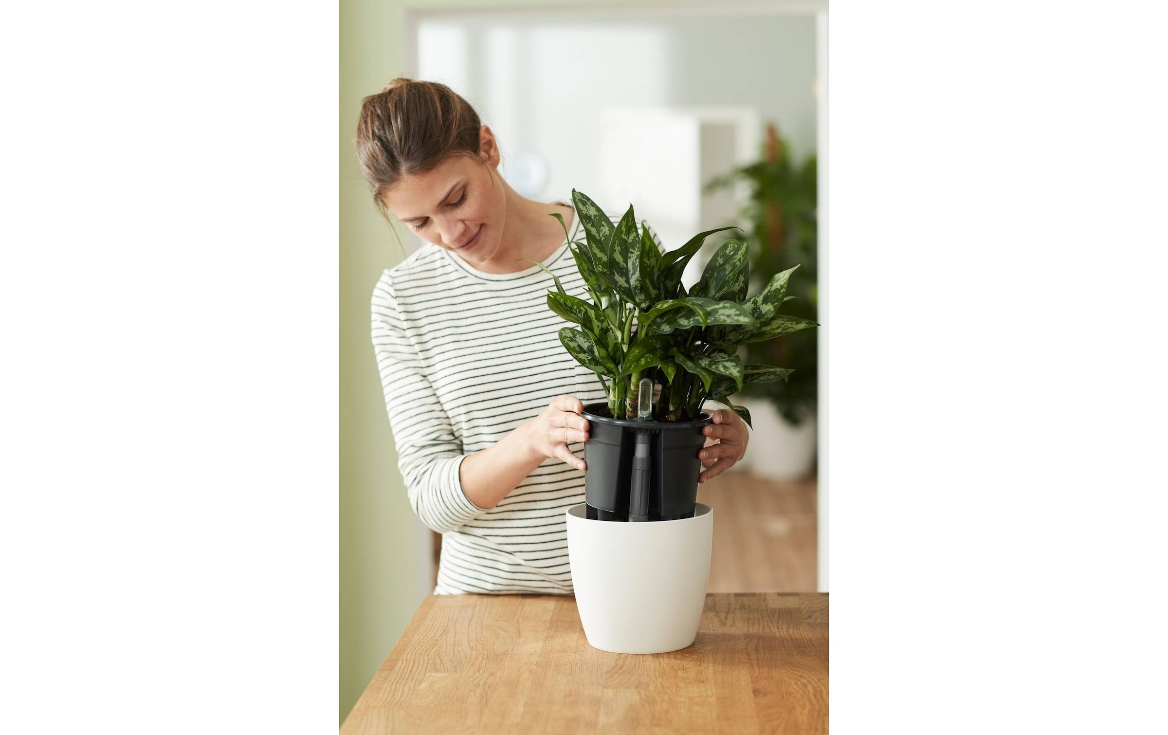 Elho Pot de fleurs »Selbstbewässerungssystem«