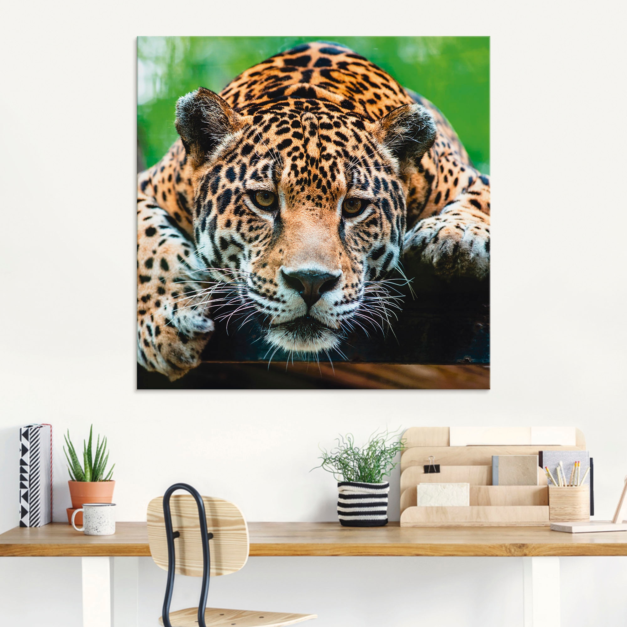 Artland Glasbild »Südamerikanischer Jaguar« Wildtiere 1 Stk. tlg. in verschiedenen Grössen