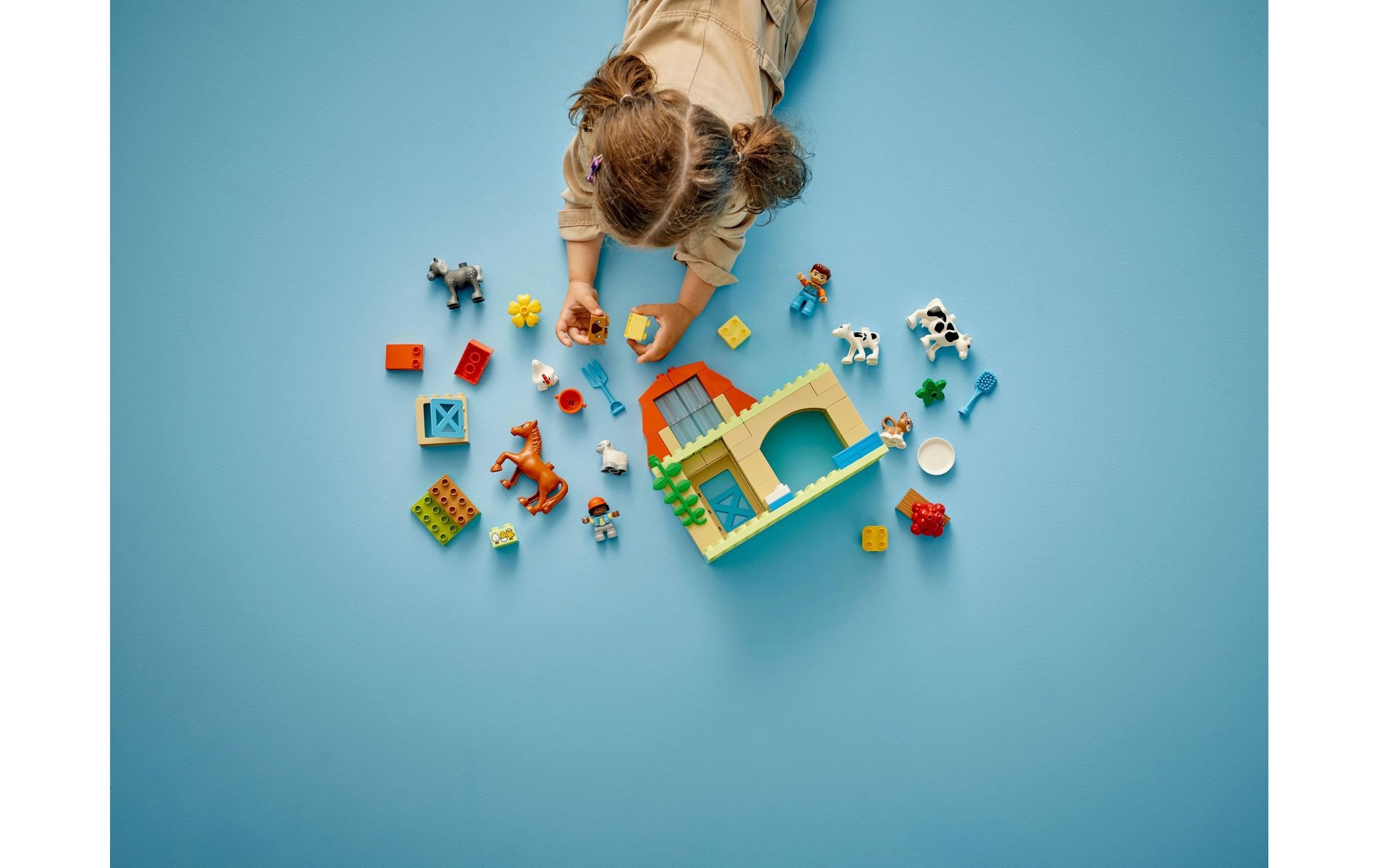 LEGO® Spielbausteine »Tierpflege auf dem Bauernhof 10416«, (74 St.)
