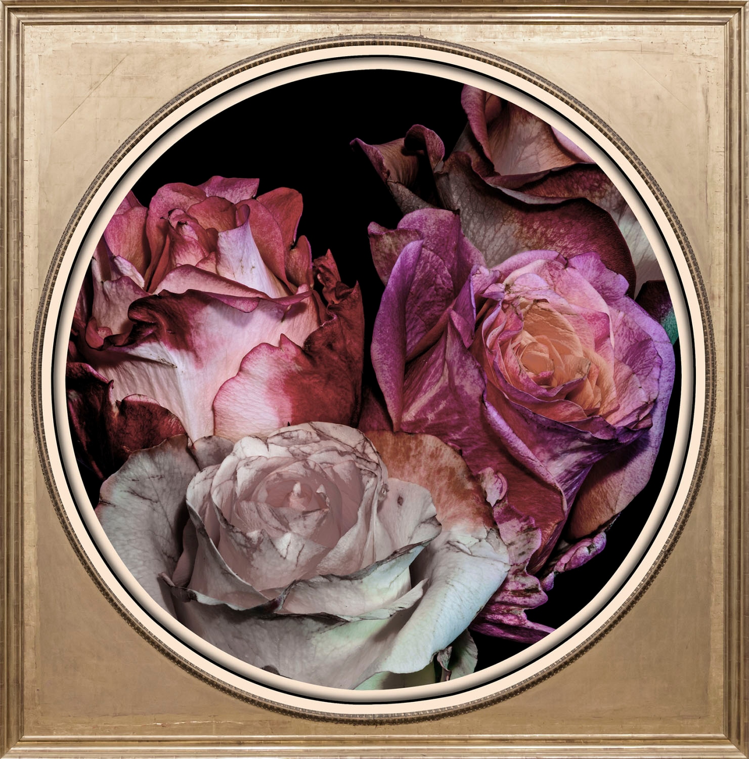 Image of queence Acrylglasbild "Blumen" Blumen Blumenbilder Gemälde Kunst Pflanzen Pflanzenbilder Fine Art-Print in Galeriequalität