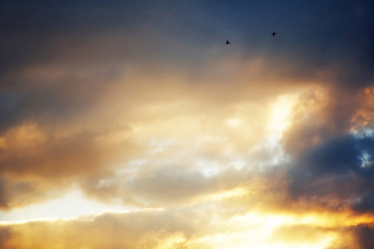 Image of Papermoon Fototapete »Himmel«, Vliestapete, hochwertiger Digitaldruck, inklusive Kleister bei Ackermann Versand Schweiz