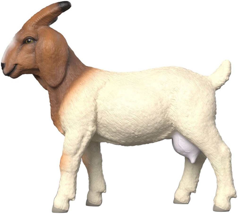 Schleich® Personnage de jeu »FARM WORLD, Burenziege (14929)«