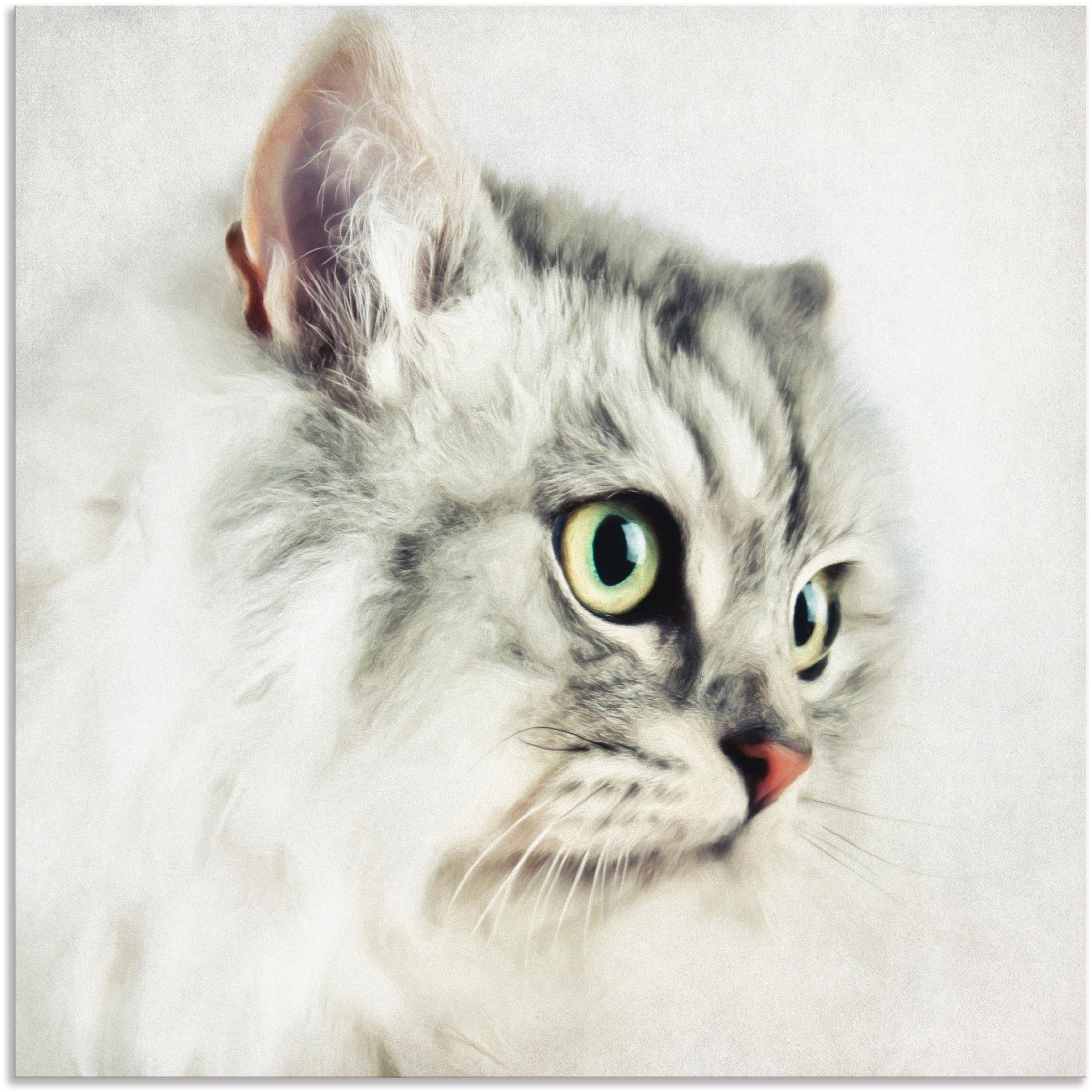 Image of Artland Wandbild »Katzenporträt«, Haustiere, (1 St.), in vielen Grössen & Produktarten - Alubild / Outdoorbild für den Aussenbereich, Leinwandbild, Poster, Wandaufkleber / Wandtattoo auch für Badezimmer geeignet bei Ackermann Versand Schweiz