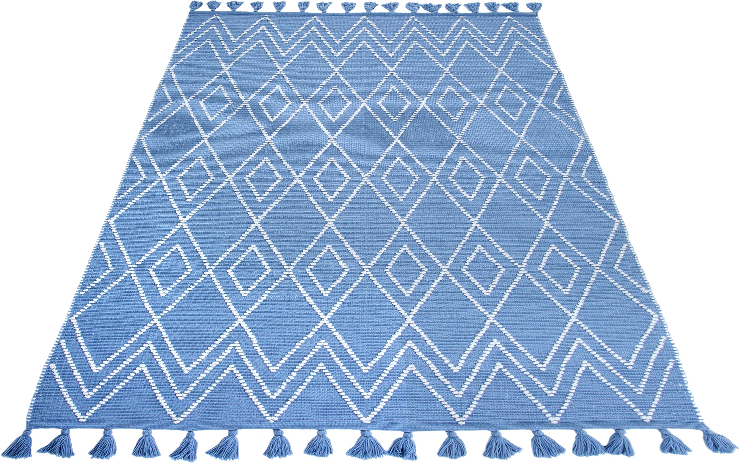 Image of elbgestoeber Teppich »Elblauf«, rechteckig, 17 mm Höhe, In-und Outdoor geeignet,mit Fransen, Wohnzimmer bei Ackermann Versand Schweiz