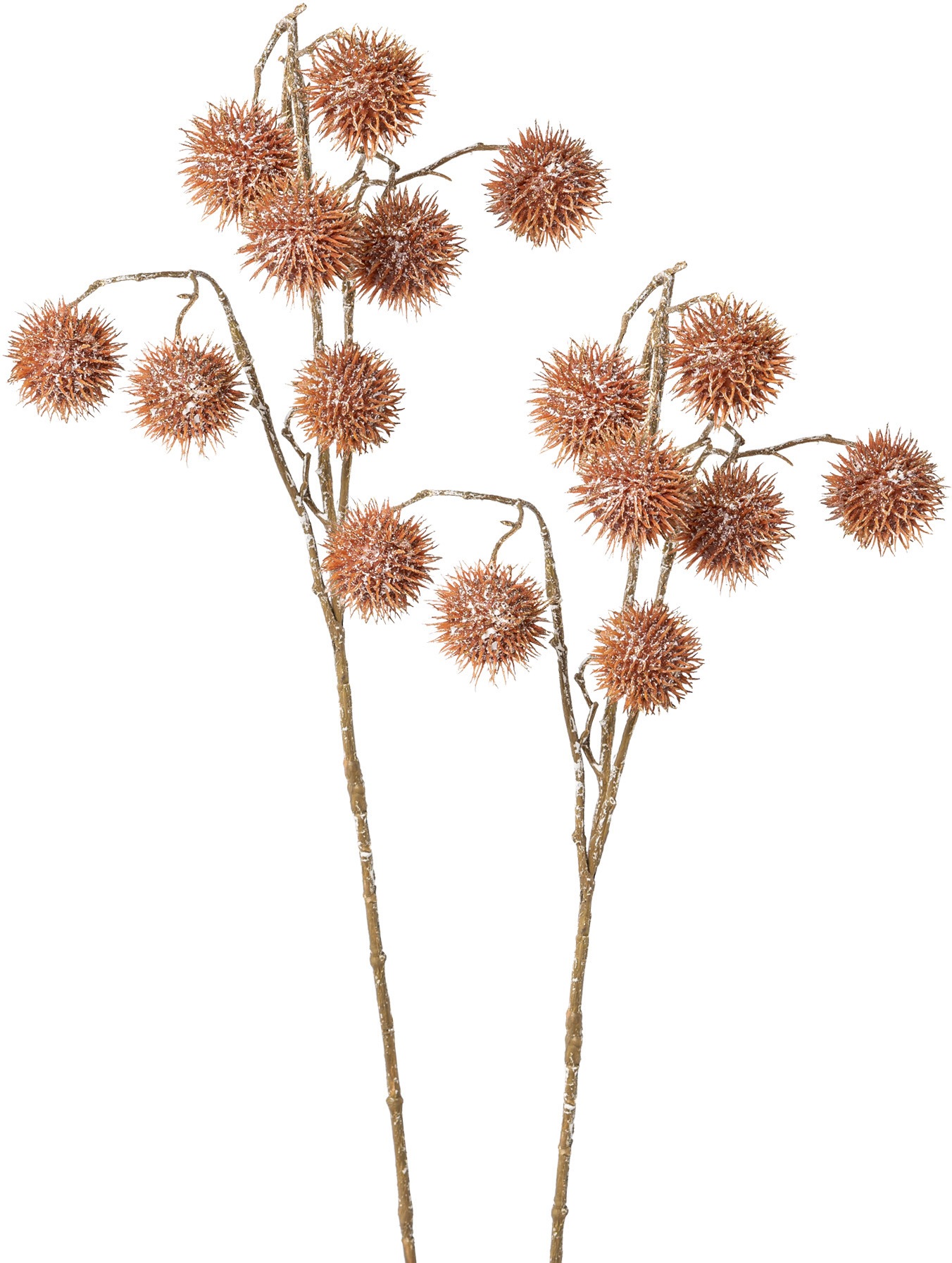 Image of my home Kunstzweig »Platanenzweig«, (Set, 2 St.), im 2-teiligen Set bei Ackermann Versand Schweiz