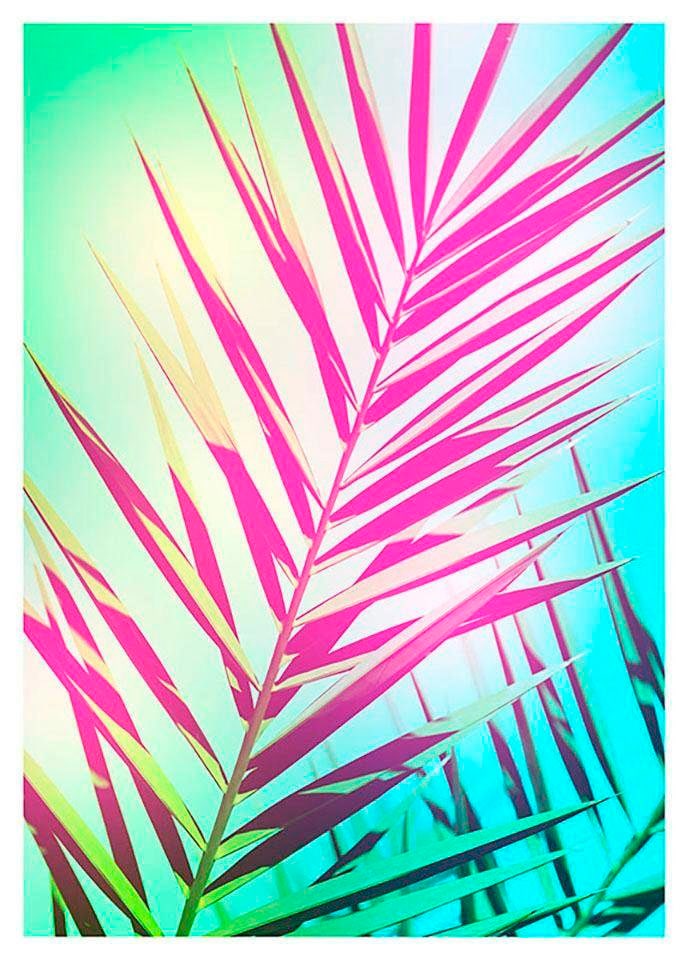 Image of Komar Bild "Shine" Blätter Pflanzen 1 Stk. tlg. Wandbild zur Dekoration - ohne Rahmen