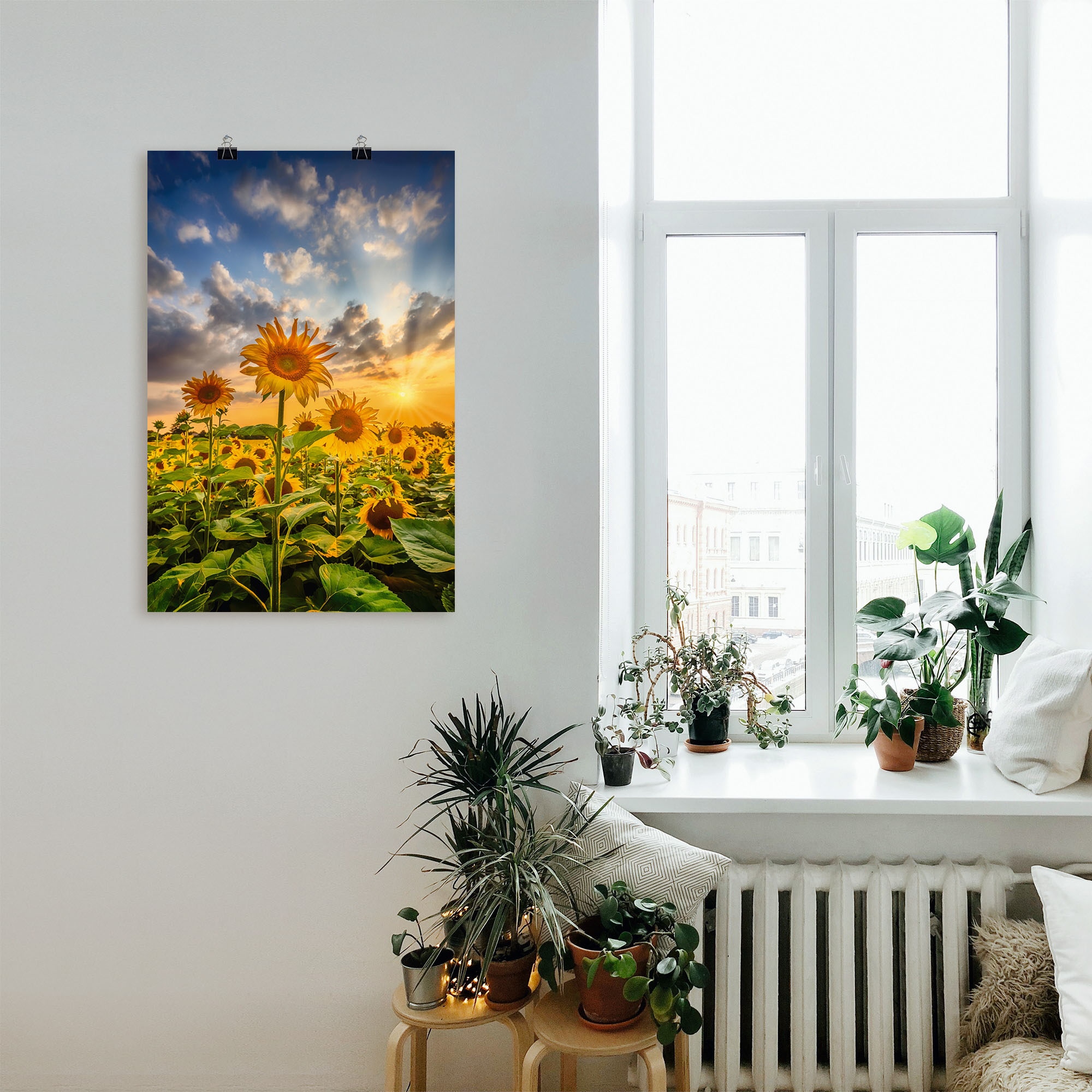 Artland Wandbild »Sonnenblumen im Sonnenuntergang«, Blumenbilder, (1 St.), als Leinwandbild, Poster in verschied. Grössen