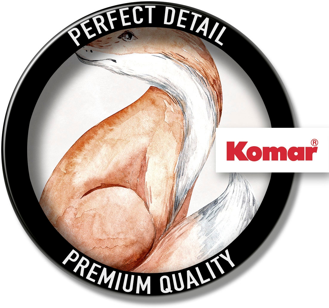 Komar Bild »Curious Fox« Natur 1 Stk. tlg. Wandbild zur Dekoration - ohne Rahmen