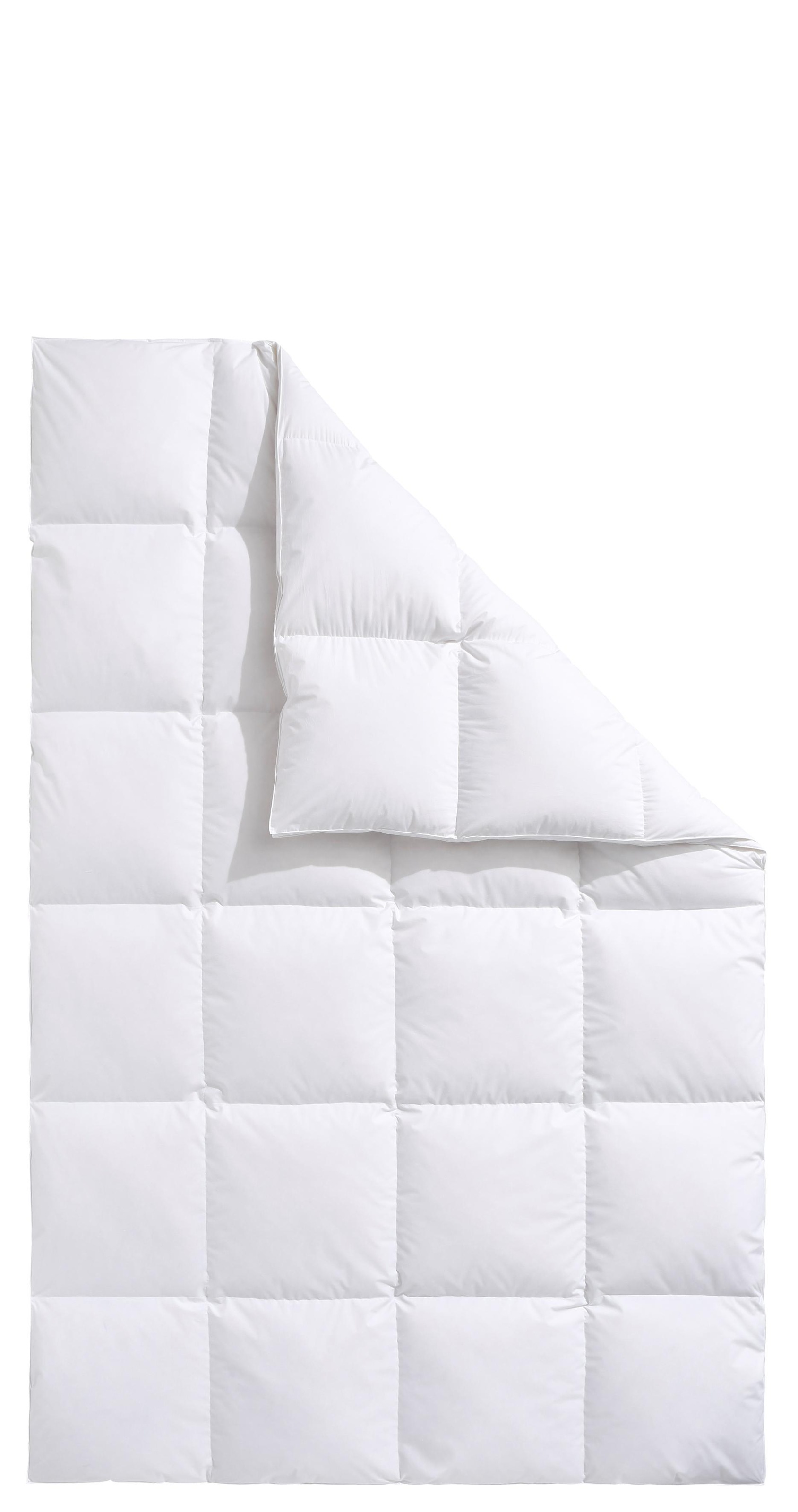 Haeussling Daunenbettdecke "Swiss Royal, Bettdecken für Sommer und Winter, Ganzjahresdecke, Decke" extrawarm Füllung 90Daunen10Federn 1 Stk. tlg. Bettdecke 135x200 cm, 155x220 cm & weitere Größen, Made in Germany