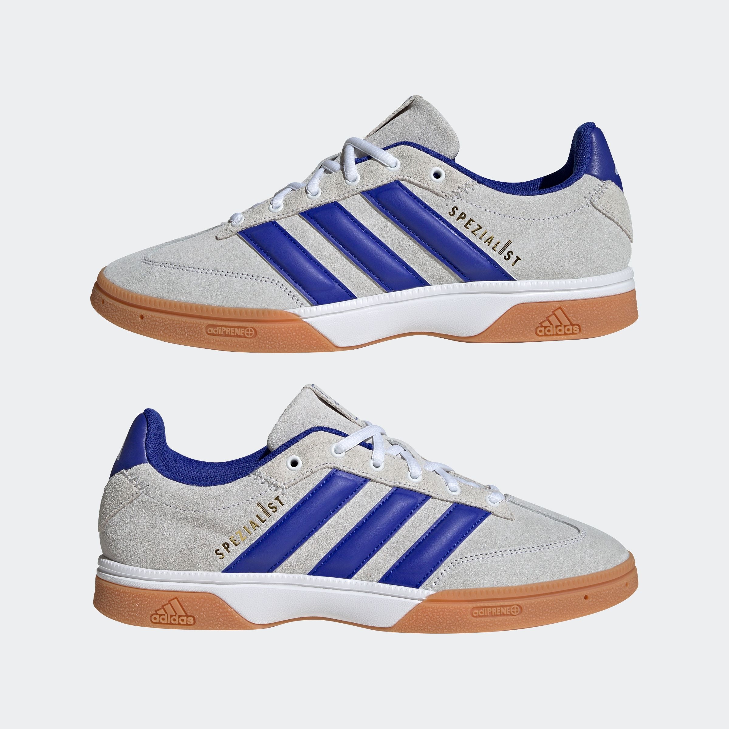 adidas Performance Hallenschuh »SPEZIALIST INDOOR«, geeignet für jeden Hallensport