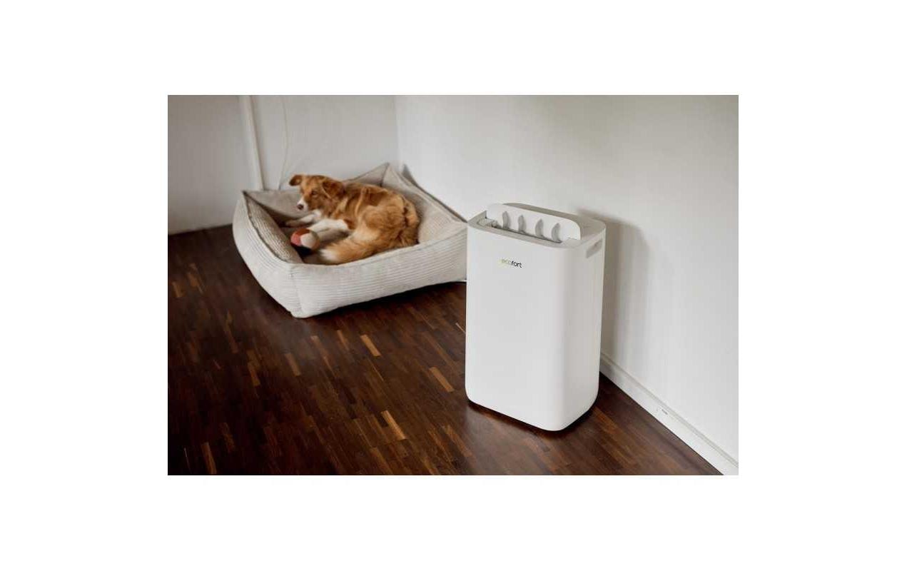 Luftentfeuchter »Ecofort ecoQ DryAir 20L Complete 50 m²«, für 50 m³ Räume, Tank 4,5 l