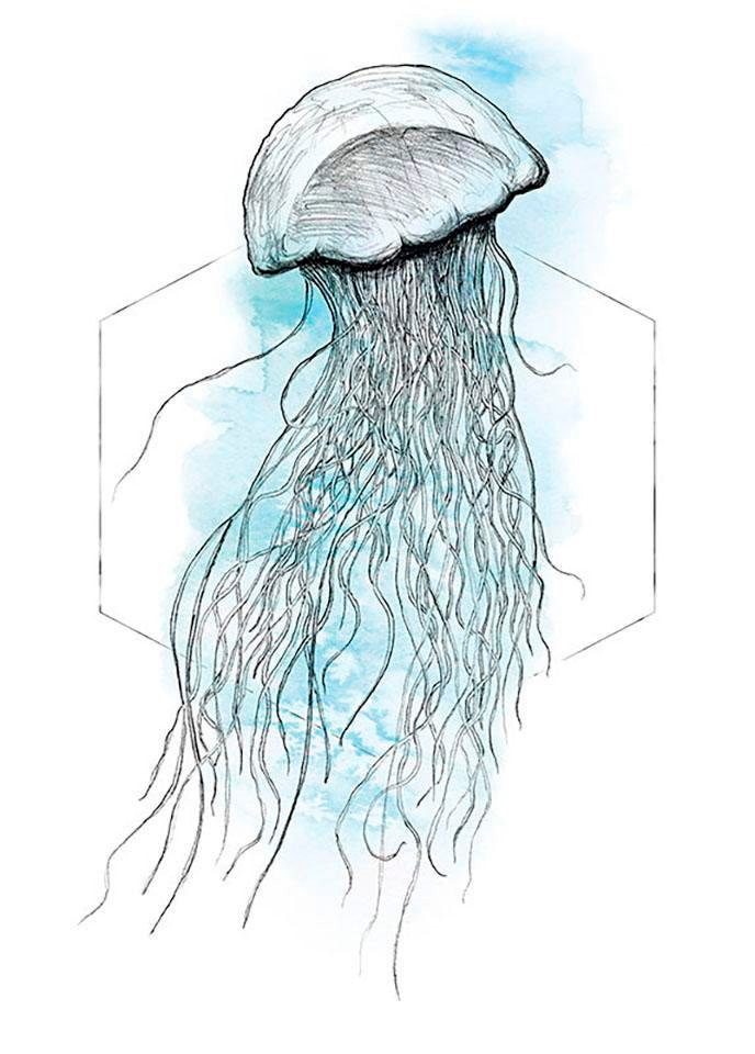 Image of Komar Bild "Jellyfish Watercolor" Tiere 1 Stk. tlg. Wandbild zur Dekoration - ohne Rahmen