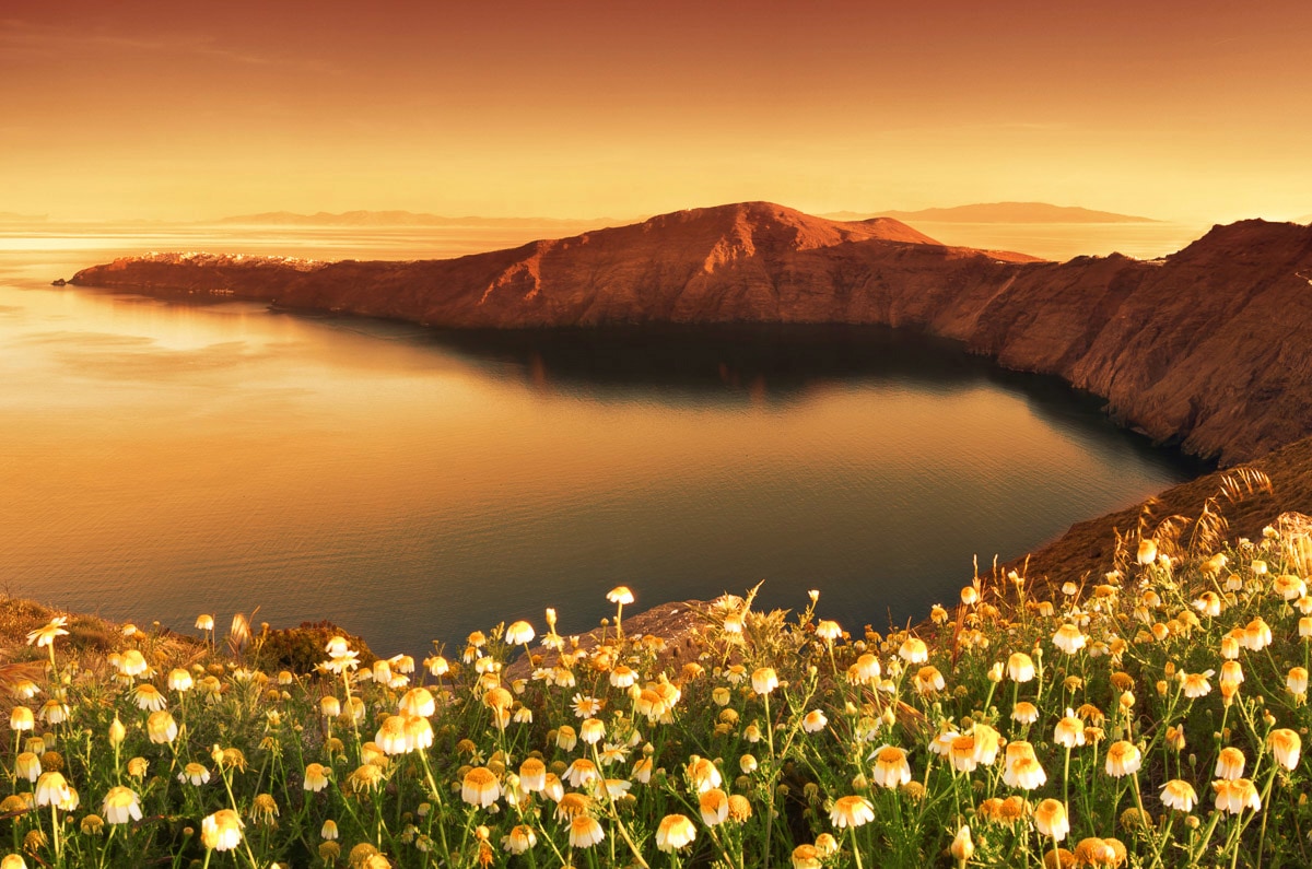 Image of Papermoon Fototapete "Blumenwiese vor Bucht"
