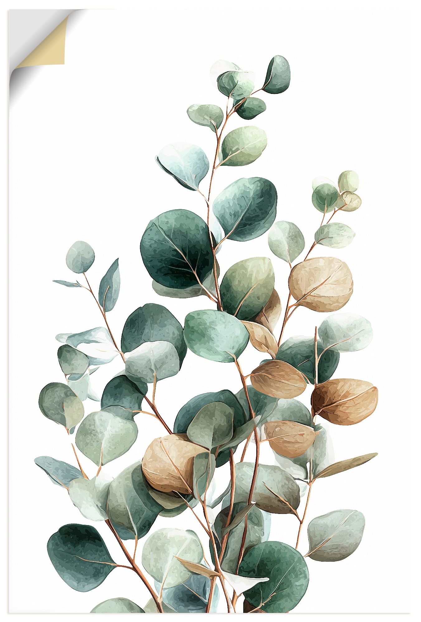 Image of Artland Wandbild "Eukalyptus" Blätterbilder 1 Stk. tlg. als Alubild, Leinwandbild, Poster, Wandaufkleber in verschied. Grössen