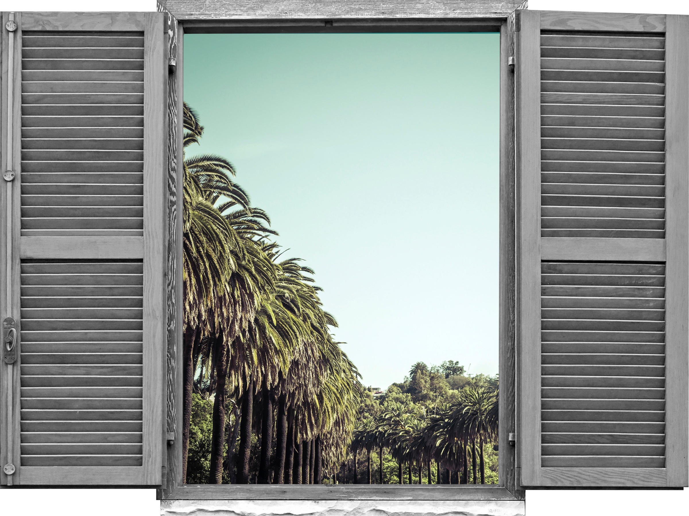 Image of queence Wandtattoo "Allee" Wandsticker, Wandbild, selbstklebend, 3D, Fenster