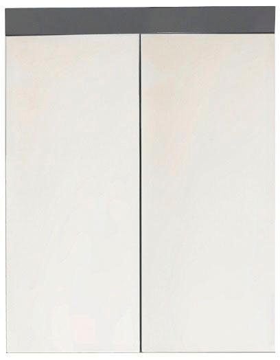 welltime Spiegelschrank »Avena«, Badezimmerschrank wahlweise mit Aufsatzleuchte - (B/T/H) 60/17/77 cm
