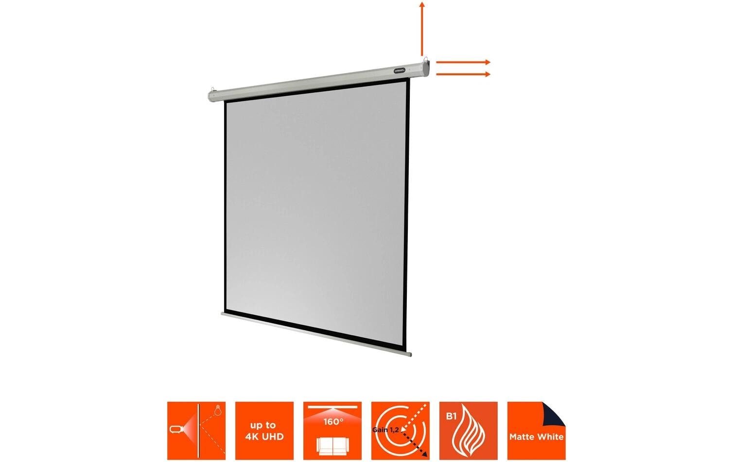 Celexon Motorleinwand »Eco 220x124cm«