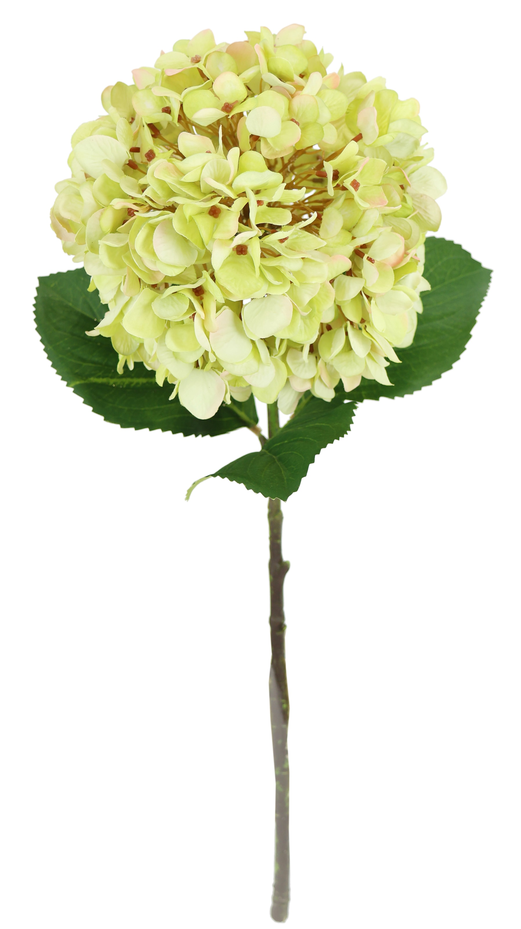 I.GE.A. Kunstblume »Künstliche Hortensie« Einzelblume Stielblume Seidenblume Dekoblume für Vase, Hochzeit