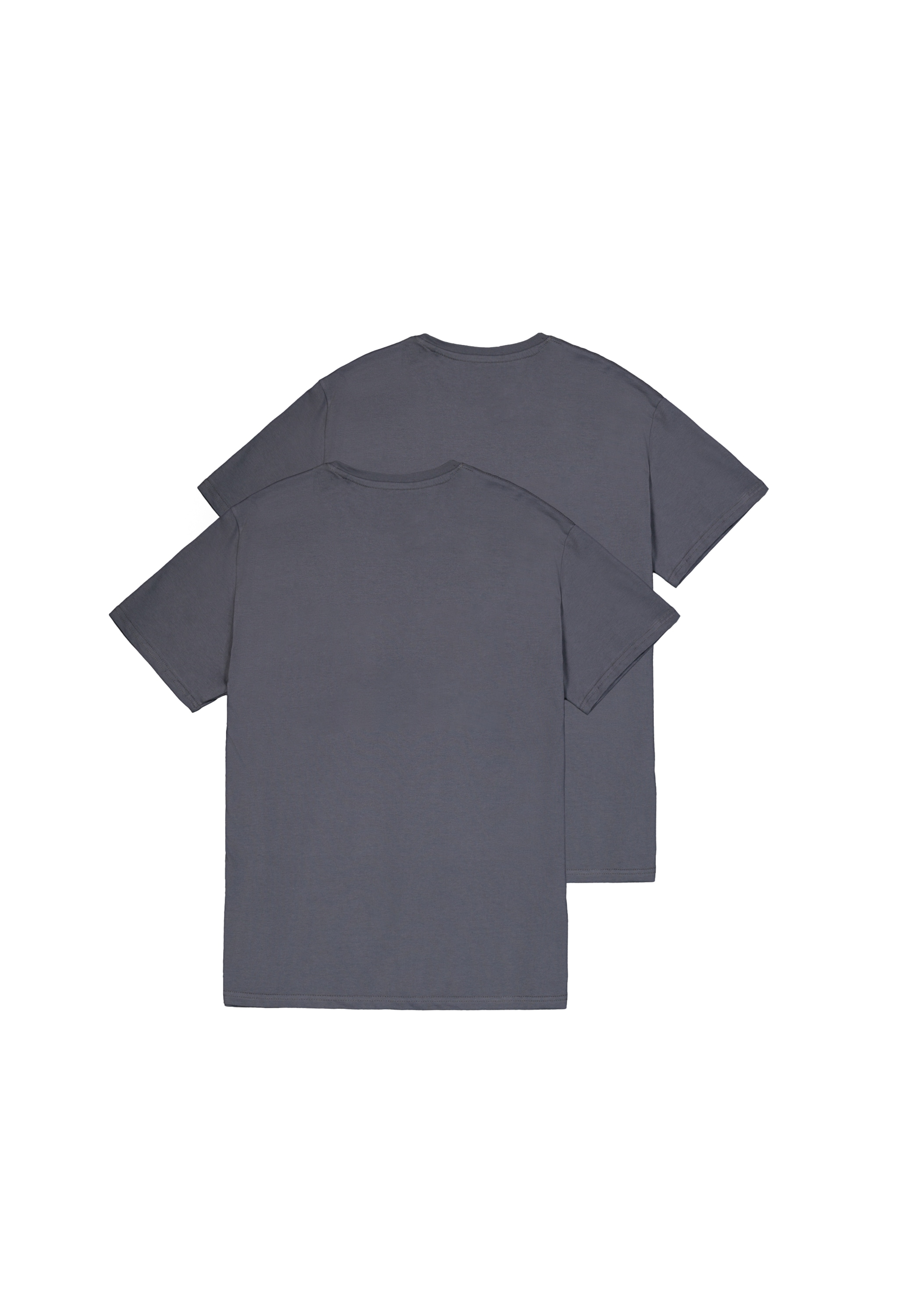 Alpha Industries T-Shirt »Alpha Industries Men - T-Shirts Alpha Label T-Shirt 2 Pack«