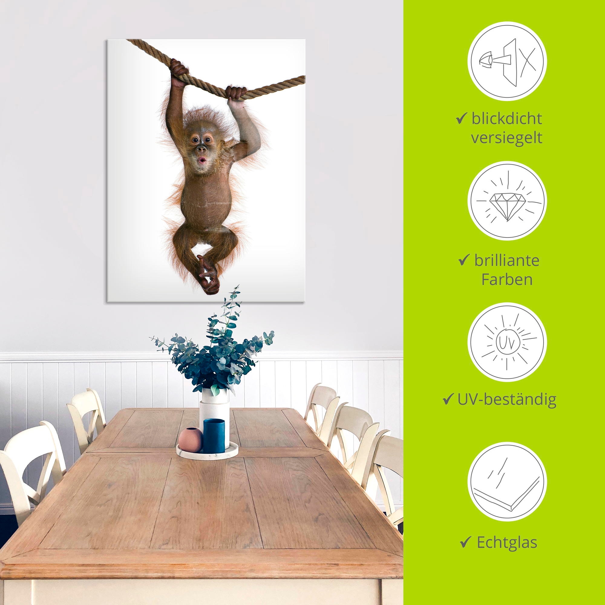Artland Glasbild »Baby Orang Utan hängt an Seil II« Wildtiere 1 Stk. tlg. in verschiedenen Grössen