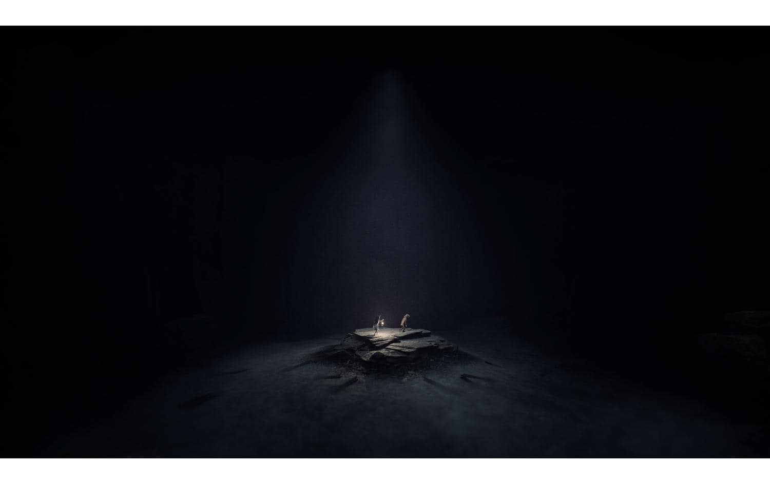   Spielesoftware »Reanimal (Box)«