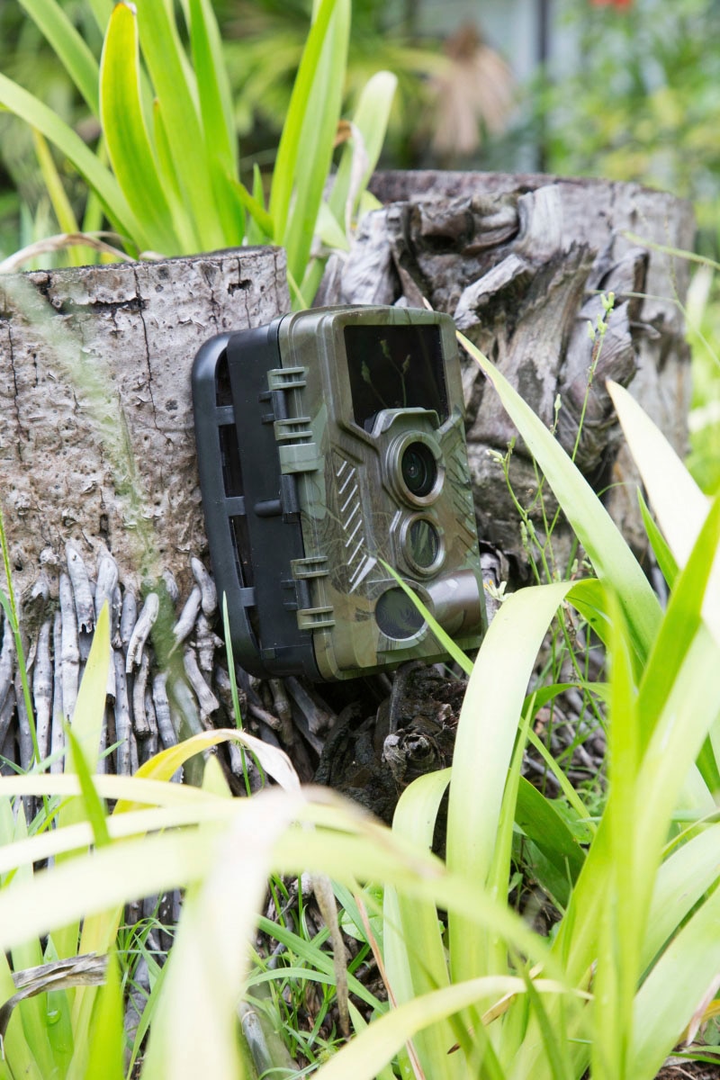 Technaxx Caméra de surveillance »Nature Wild Cam 8MP TX-125« Innenbereich;Aussenbereich 1 cuis tlg.