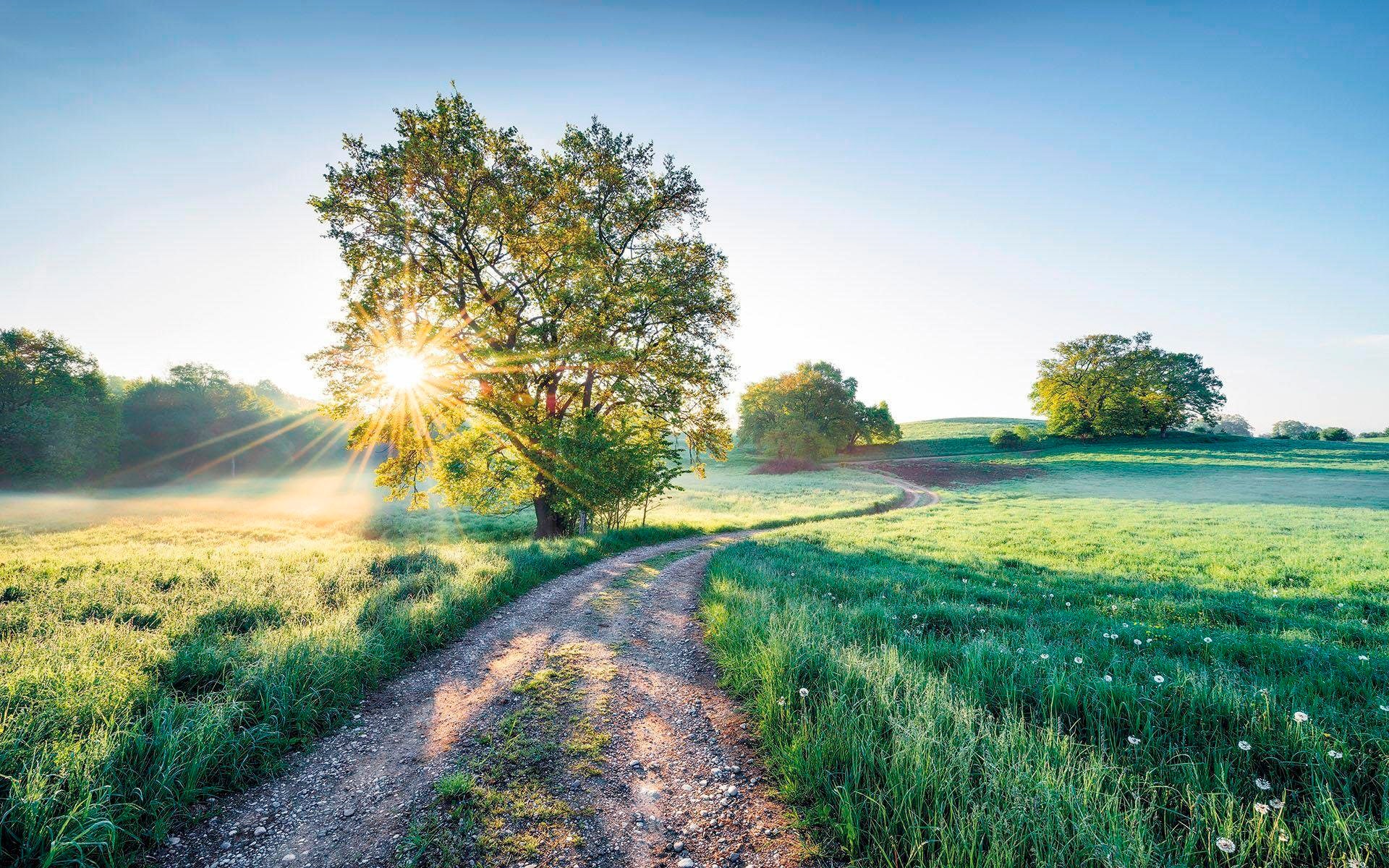 Image of Komar Vliestapete "Digitaldruck Vlies - A New Day in Paradise - Grösse 400 x 250 cm" bedruckt glatt Wohnzimmer, Schlafzimmer