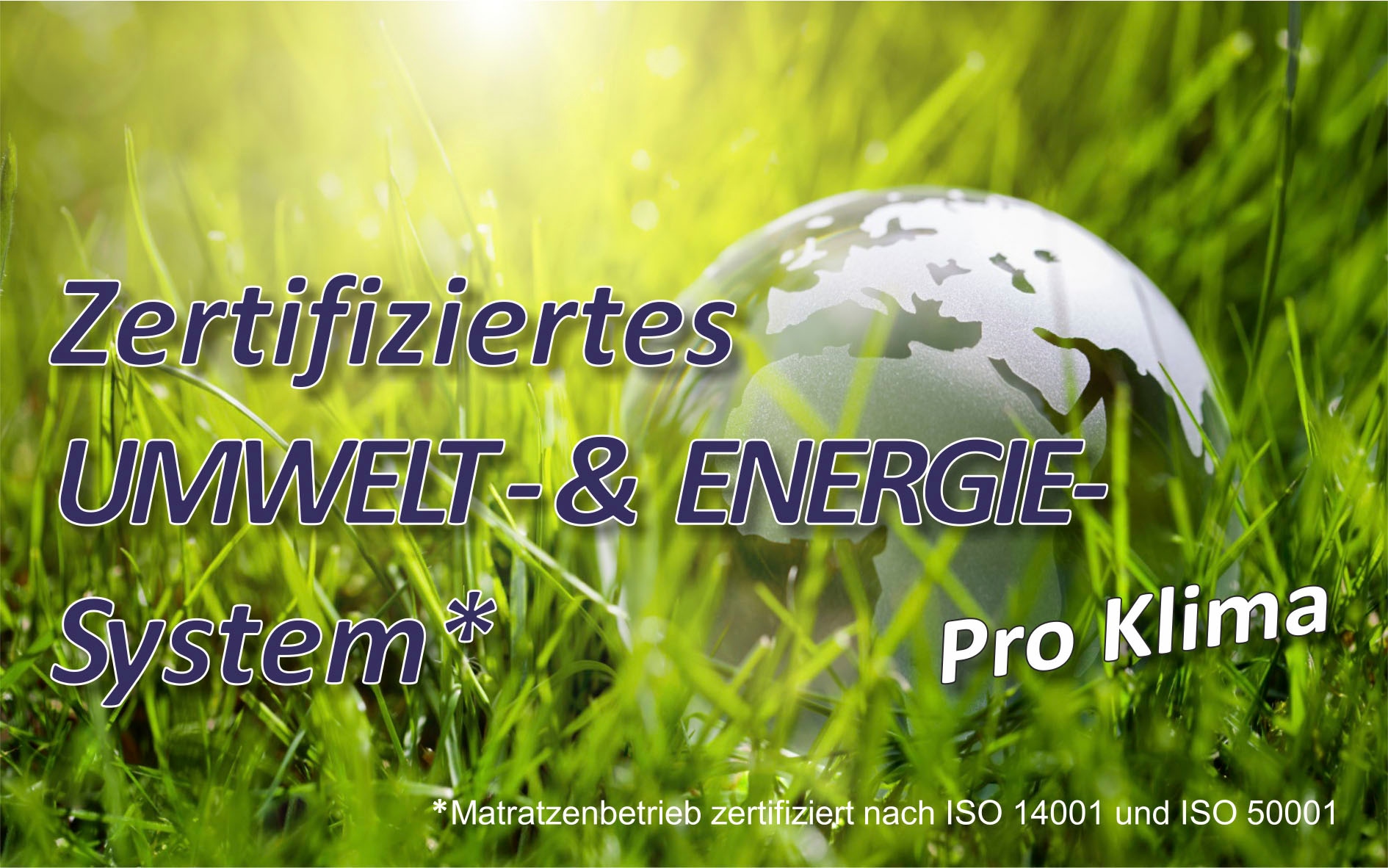 Be Fair Life Lattenrost »Planet 28 KF«, Öko-Lattenrost aus Deutschland, BLAUER ENGEL zertifiziert