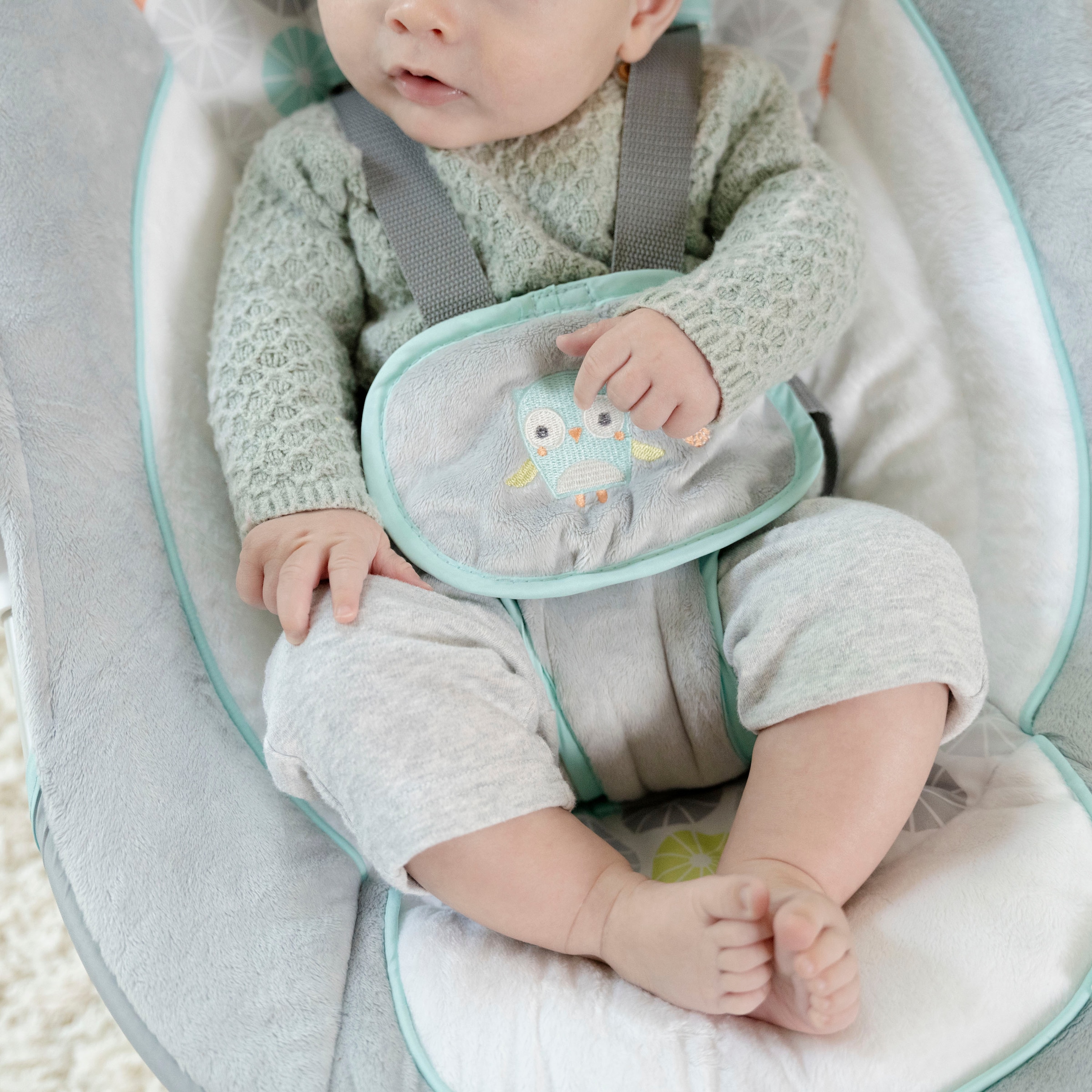 ingenuity Babyschaukel »Swing'n Go, Hugs & Hoots«, bis 9 kg, tragbar