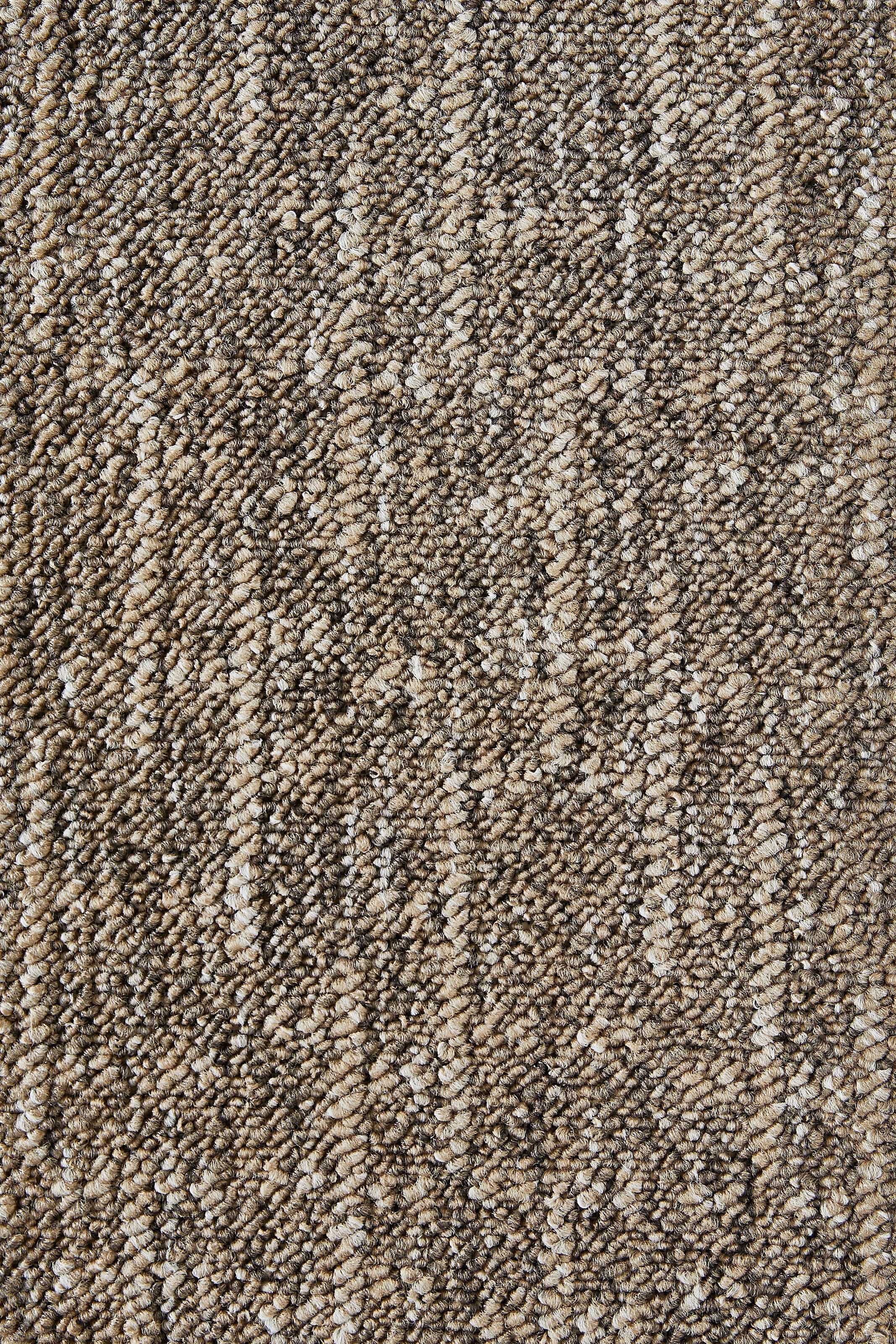my home Teppichboden »Jamie, melierte Schlinge, Made in Netherlands«, rechteckig, 8 mm Höhe, Breite 400 cm, strapazierfähig, pflegeleicht, allergikerfreundlich