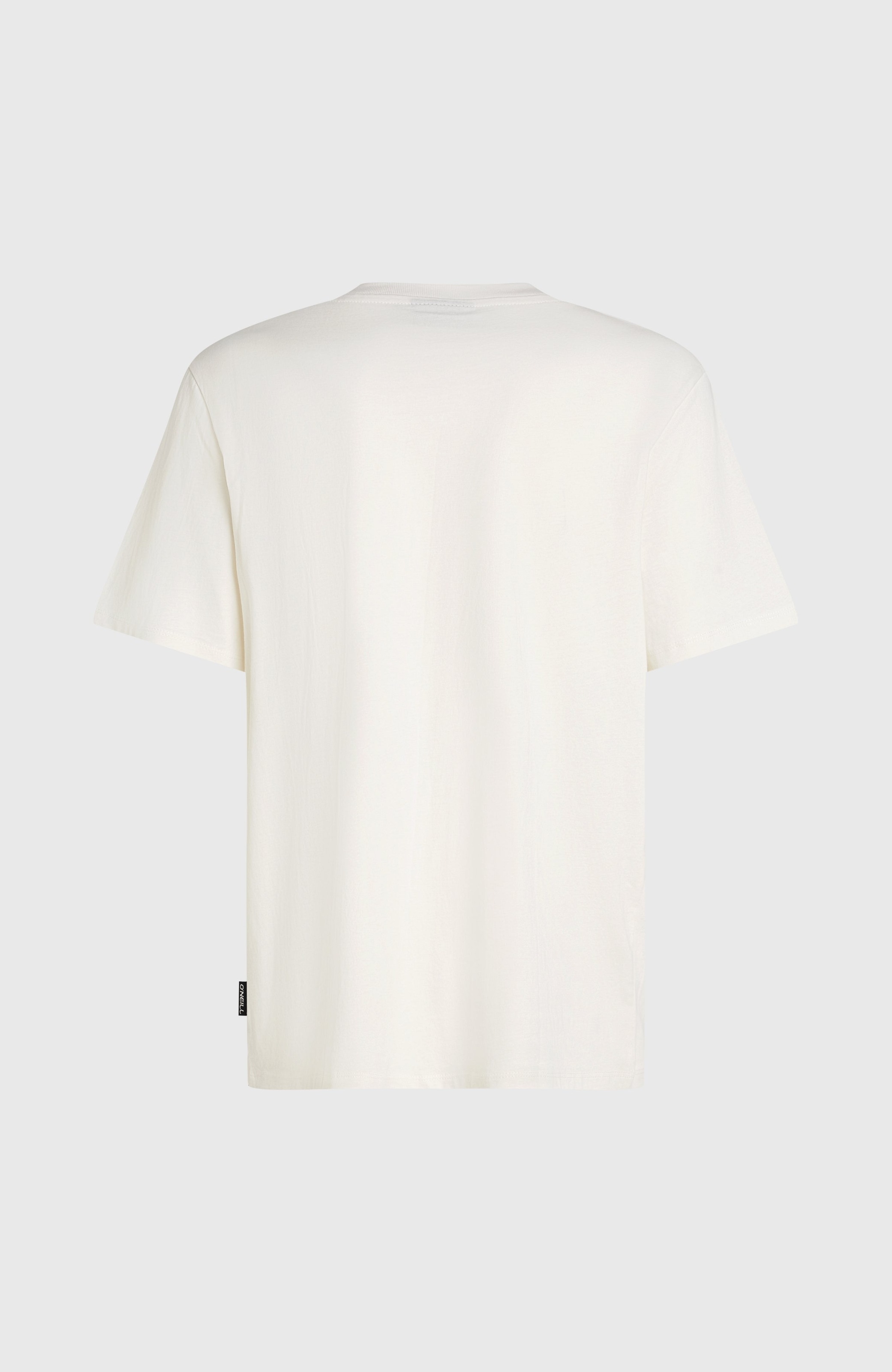 O'Neill T-Shirt »O'NEILL GRAPHIC T-SHIRT«, (1 tlg.)