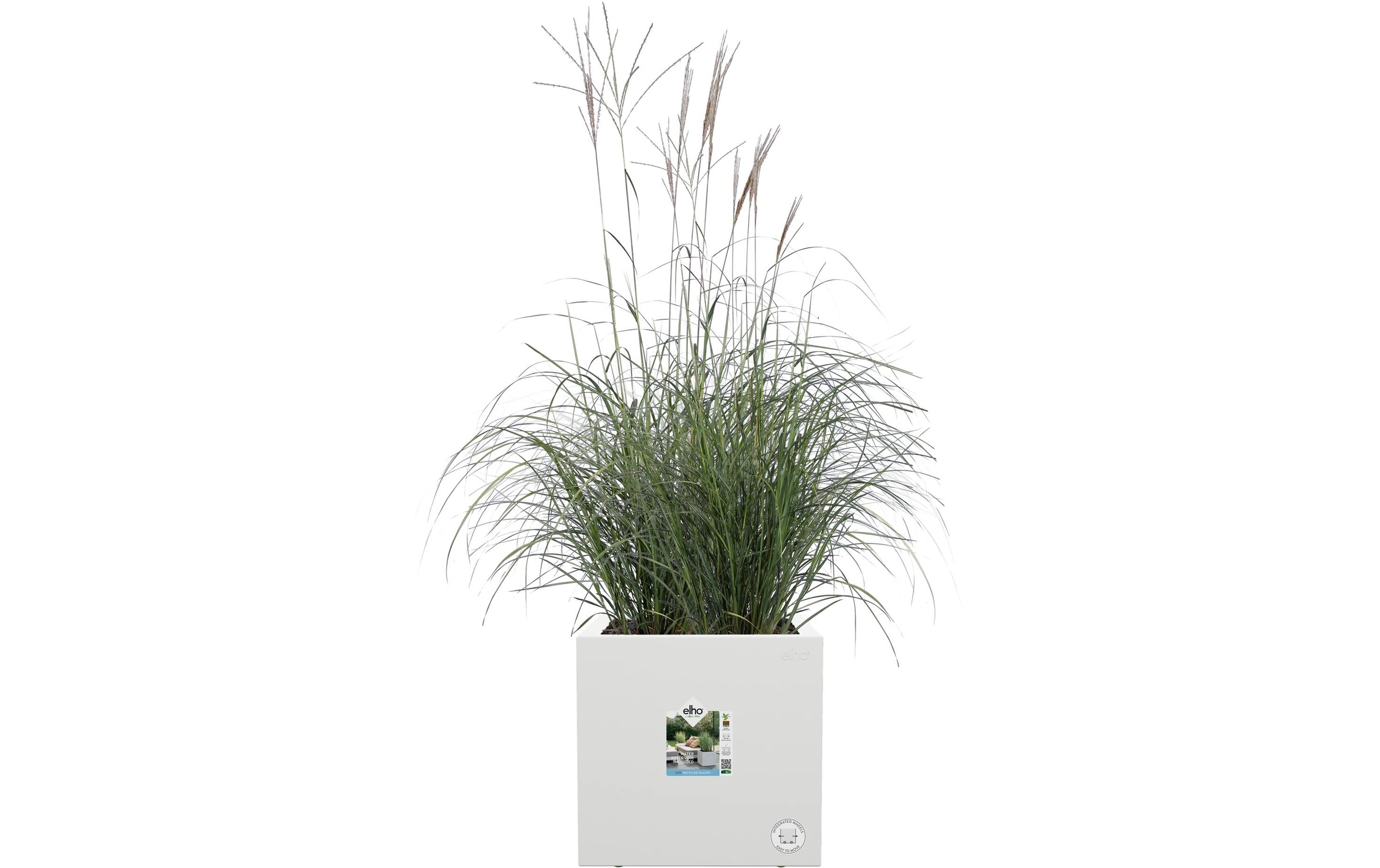 Elho Blumentopf »Next Quadrat 30 cm«