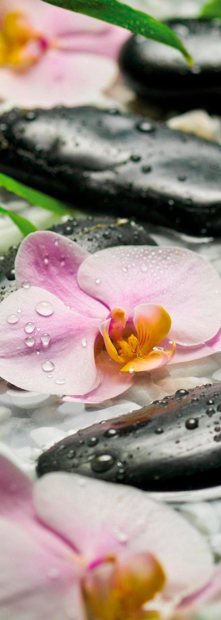 Image of Komar Vliestapete »Wellness"«, naturalistisch bei Ackermann Versand Schweiz