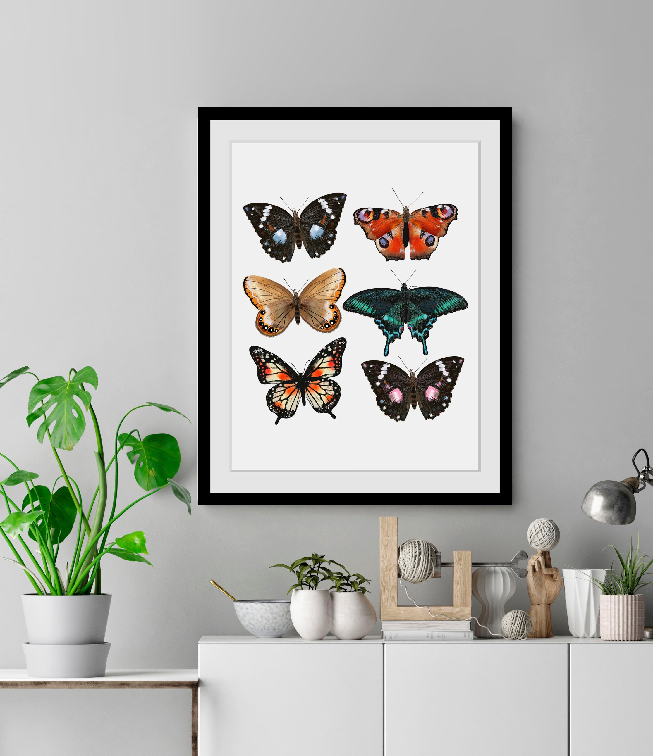 Image of queence Bild "Jana" Insekten Kunst Schmetterlinge historische Ereignisse 1 Stk. tlg. HD Premium Poster-Druck inkl. Holzrahmen