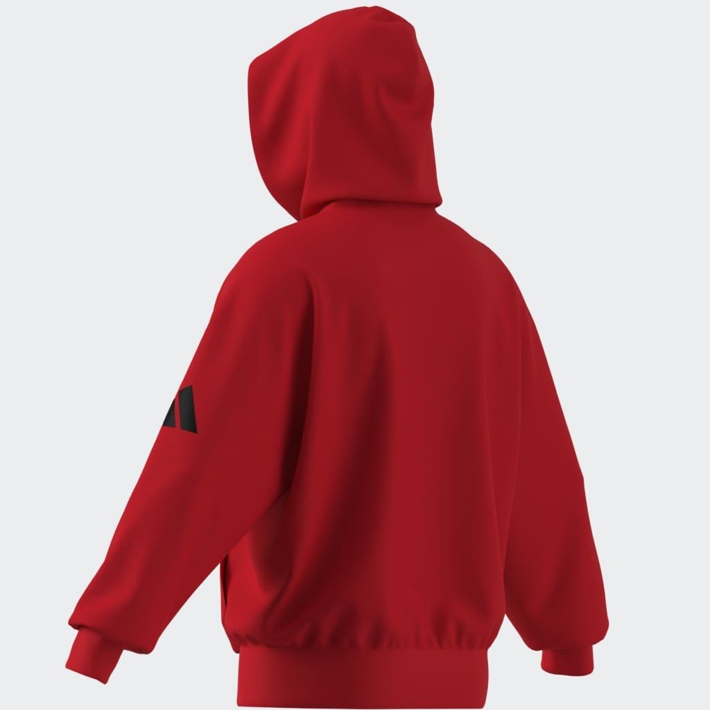 adidas Sportswear Sweat à capuche »M HD FT«
