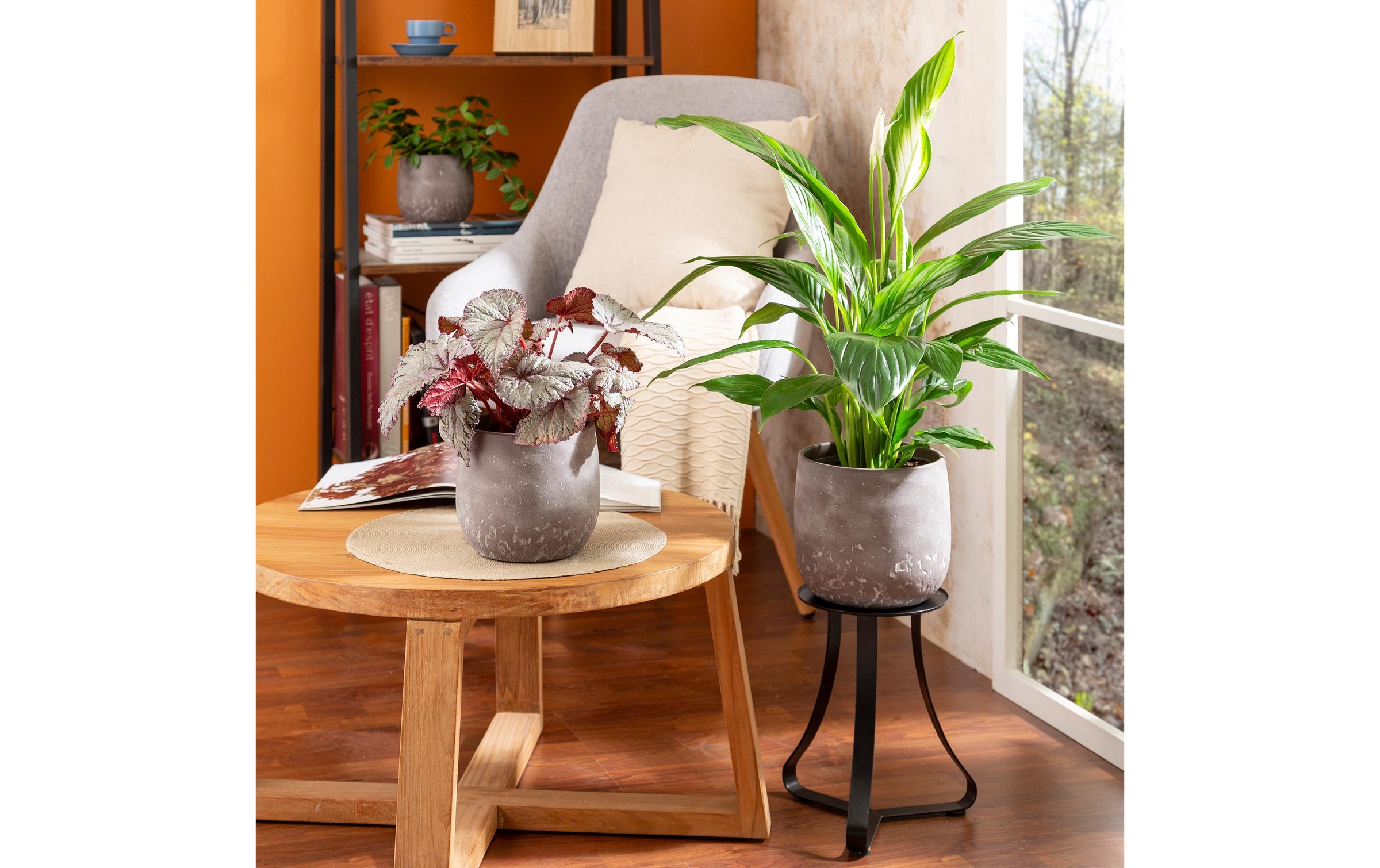 Scheurich Blumentopf »Dune 6,1 l«