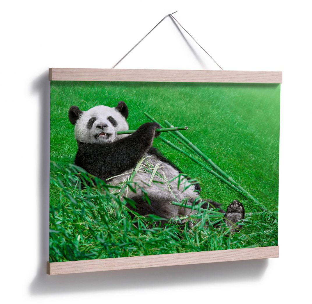 Wall-Art Poster »Waldtiere Bambus Panda«, Tiere, (1 St.), Poster, Wandbild,  Bild, Wandposter günstig kaufen