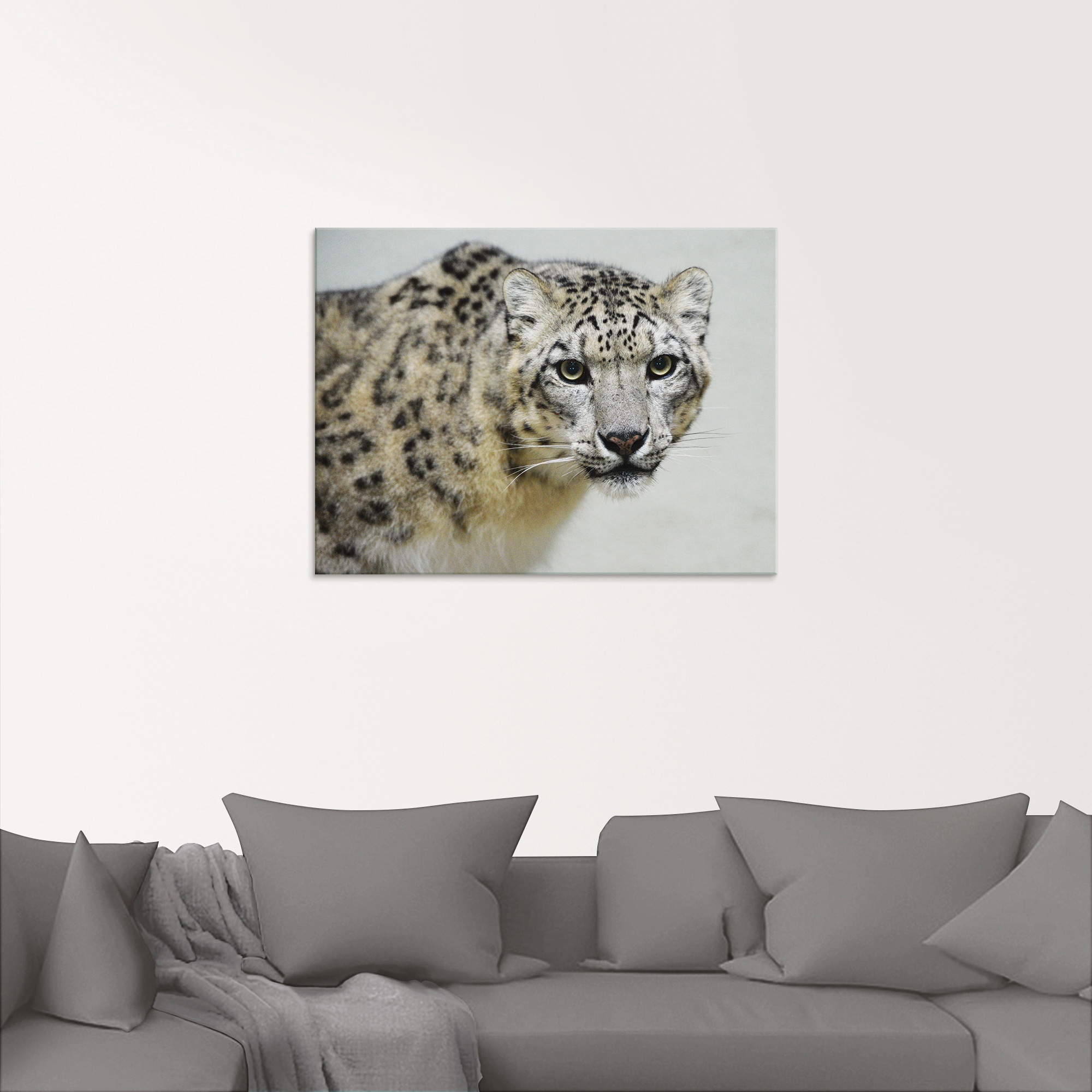 Artland Glasbild »Schneeleopard«, Wildtiere, (1 St.), in verschiedenen  Grössen acheter confortablement