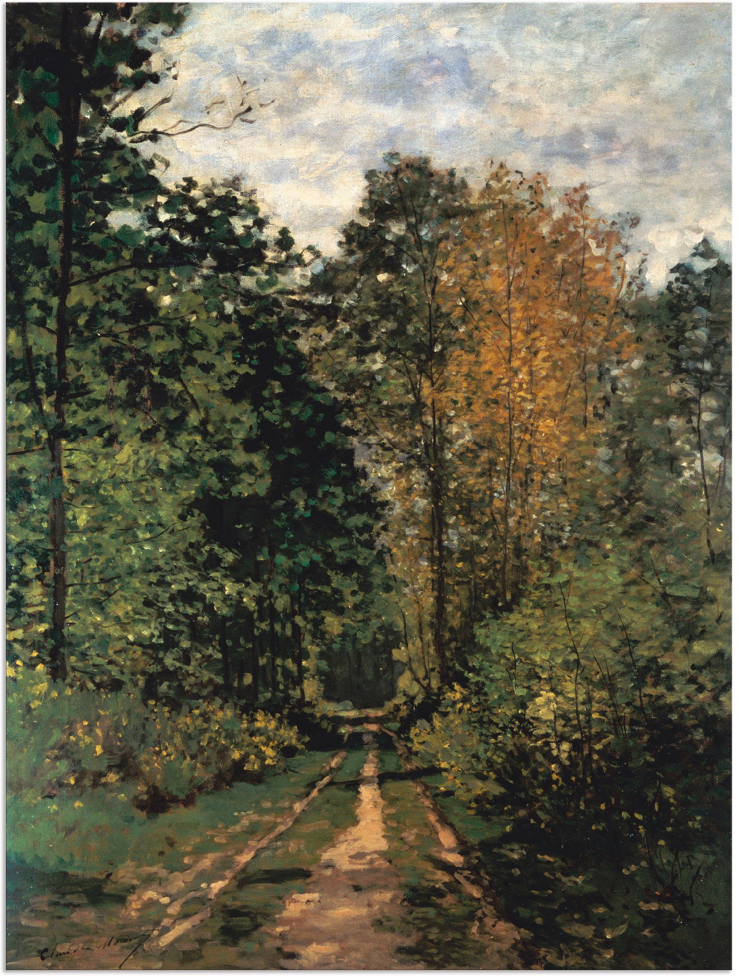 Image of Artland Wandbild »Waldweg.«, Wald, (1 St.), in vielen Grössen & Produktarten - Alubild / Outdoorbild für den Aussenbereich, Leinwandbild, Poster, Wandaufkleber / Wandtattoo auch für Badezimmer geeignet bei Ackermann Versand Schweiz