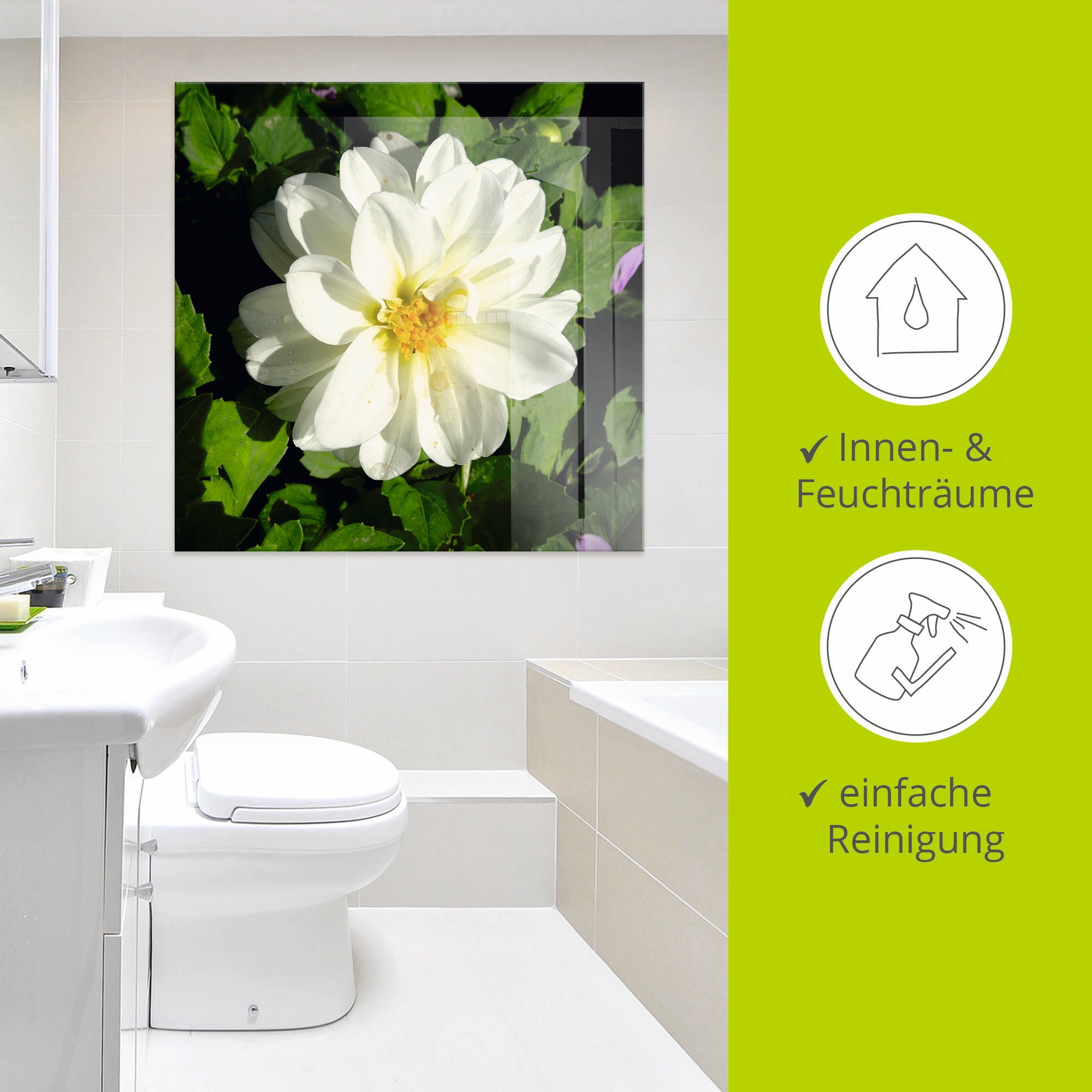 Artland Glasbild »Weisse Dahlienblüte«, Blumen, (1 St.), in verschiedenen Grössen