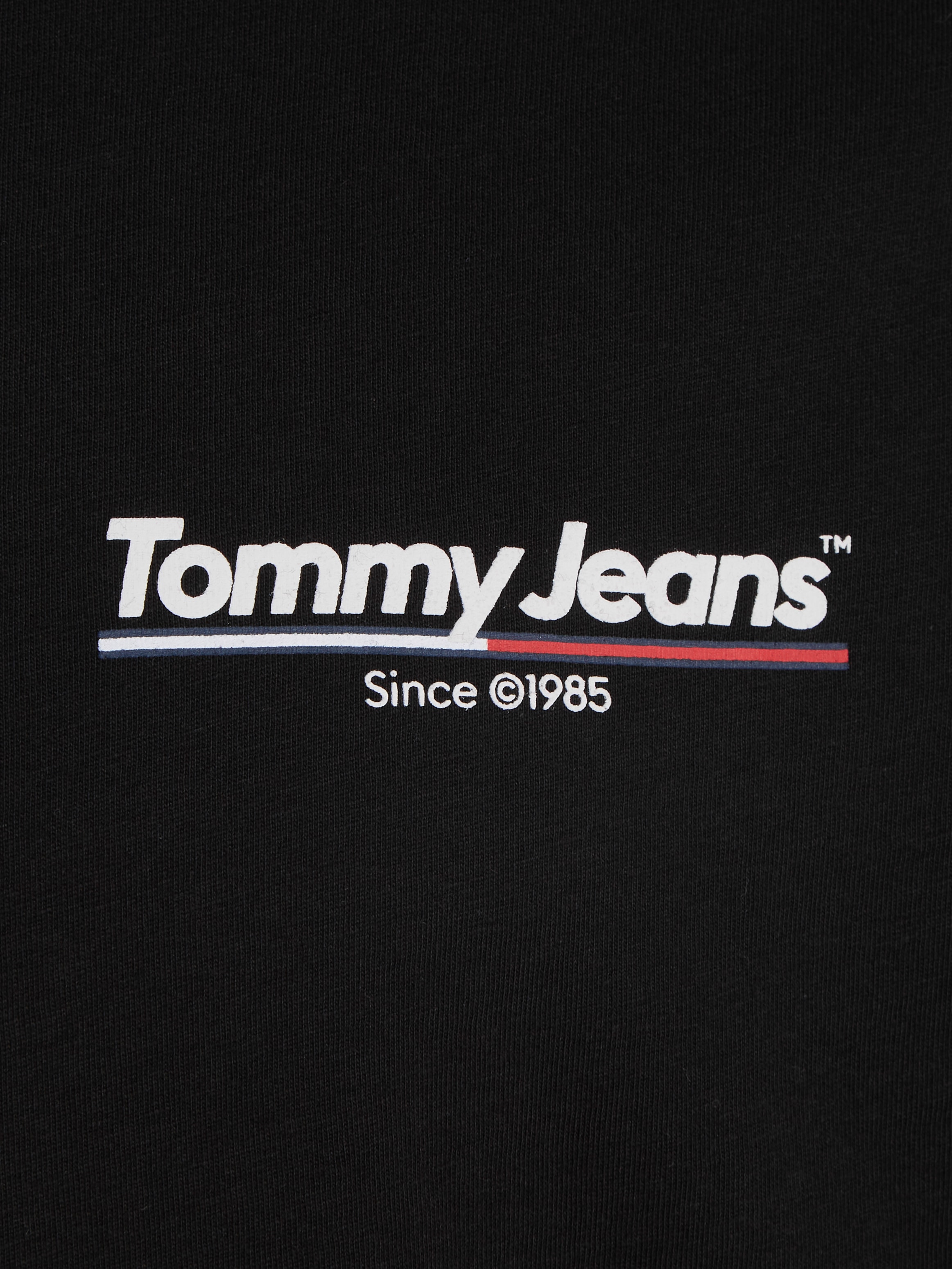Tommy Jeans Plus T-Shirt »TJM SLIM TJ TWIST 2PACK TEE EXT«, mit Markenprint