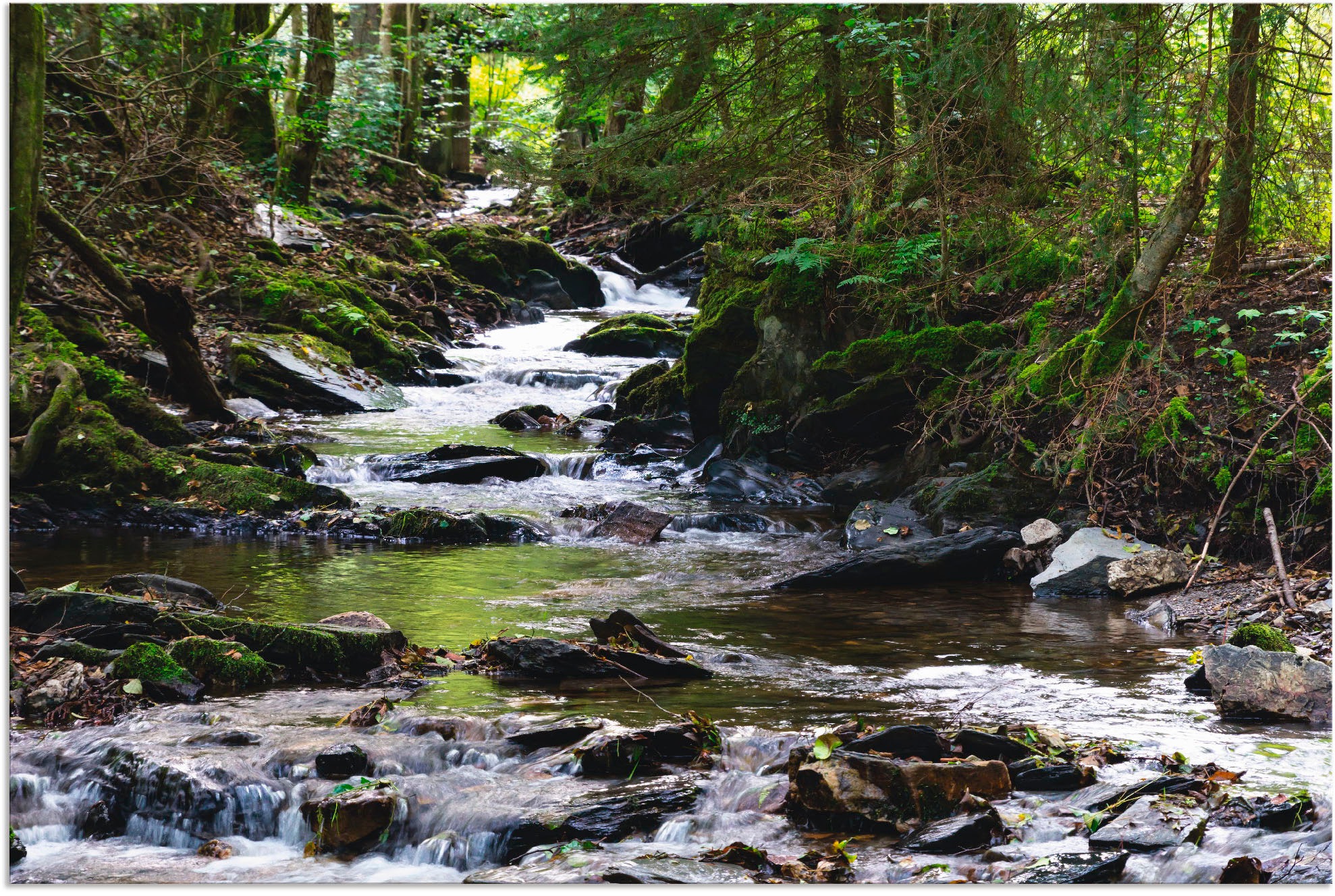 Image of Artland Wandbild »Bachlauf im Wald«, Gewässer, (1 St.), in vielen Grössen & Produktarten - Alubild / Outdoorbild für den Aussenbereich, Leinwandbild, Poster, Wandaufkleber / Wandtattoo auch für Badezimmer geeignet bei Ackermann Versand Schweiz