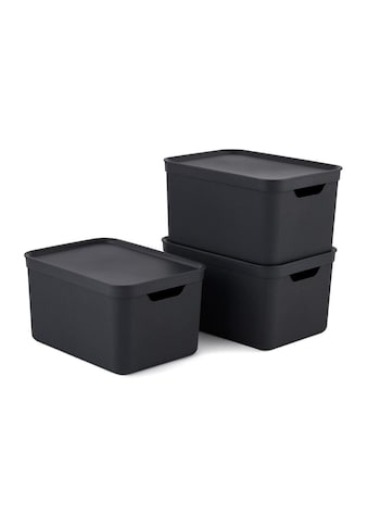 ROTHO Aufbewahrungsbox »3er-Set black A4 JIVE«, (3 St.) kaufen
