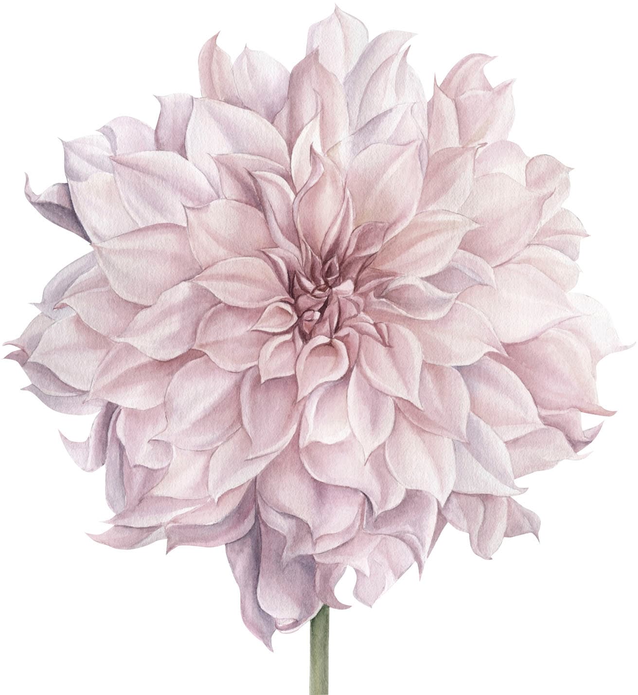 Image of queence Wandtattoo "Nele" Wandbild, Sticker, rosa, Blume, Blüte, selbstklebend, Pastellfarben