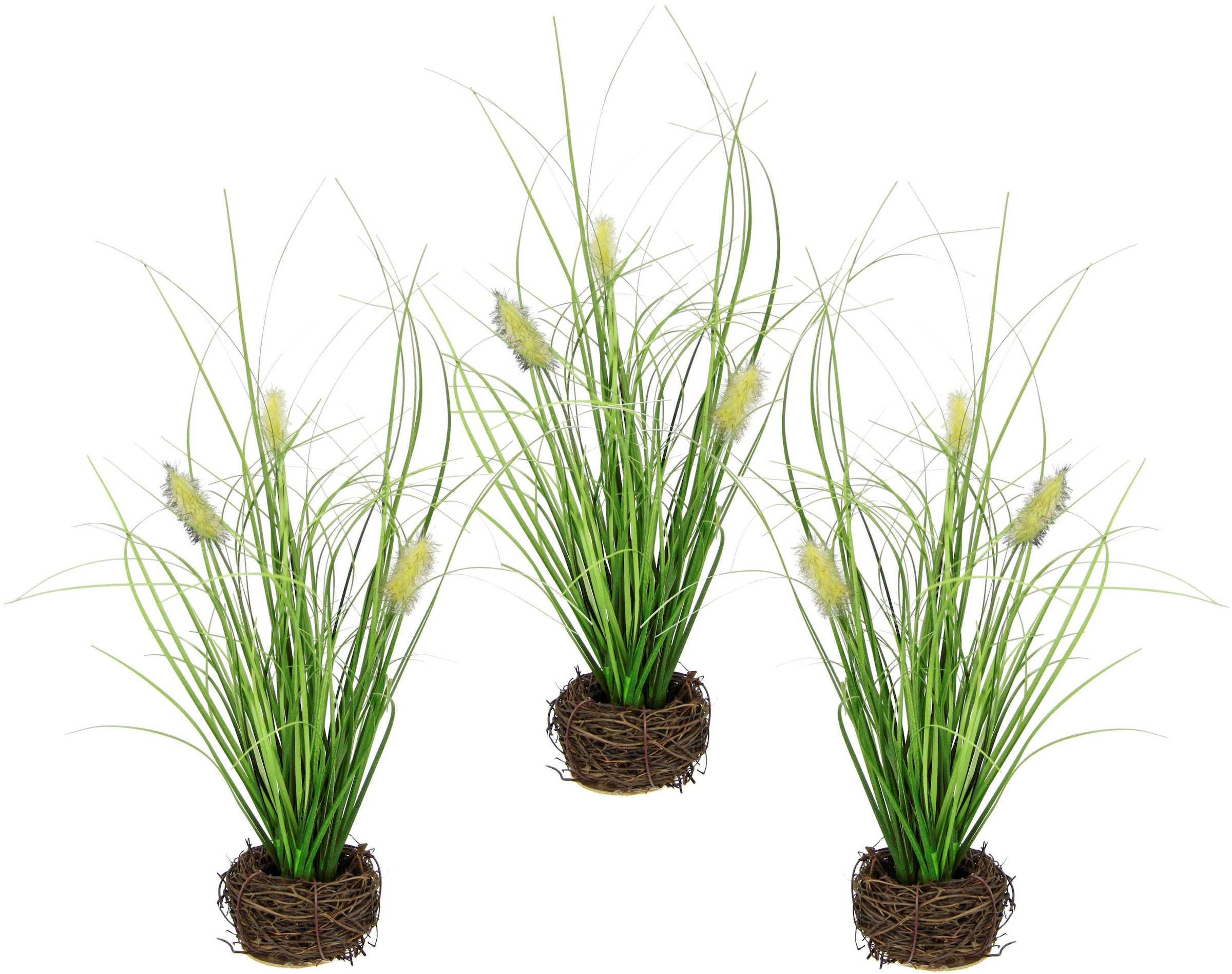 I.GE.A. Herbe artificielle »Künstliches Gras 'Fuchsschwanz'« Im Reisig-Nest, 3er Set