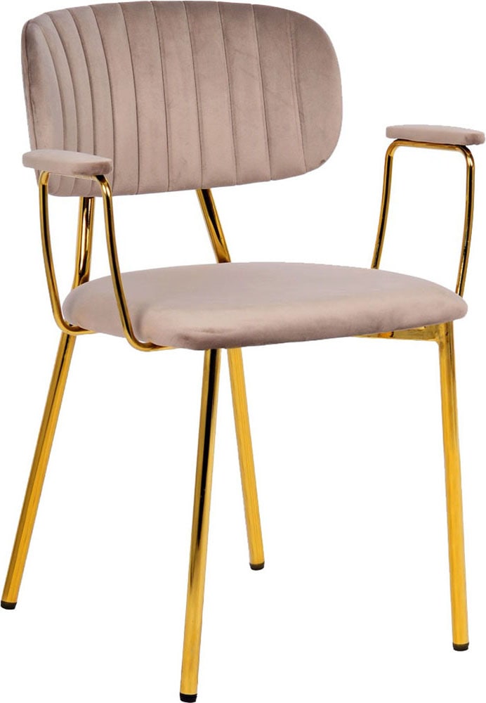 Kayoom Chaise rembourrée »Stuhl Giselle 225 2er-Set, Gestell aus Edelstahl« (Set) 2 cuismit Armlehnen, goldenes Gestell aus Edelstahl, Samtbezug, Ziernähte
