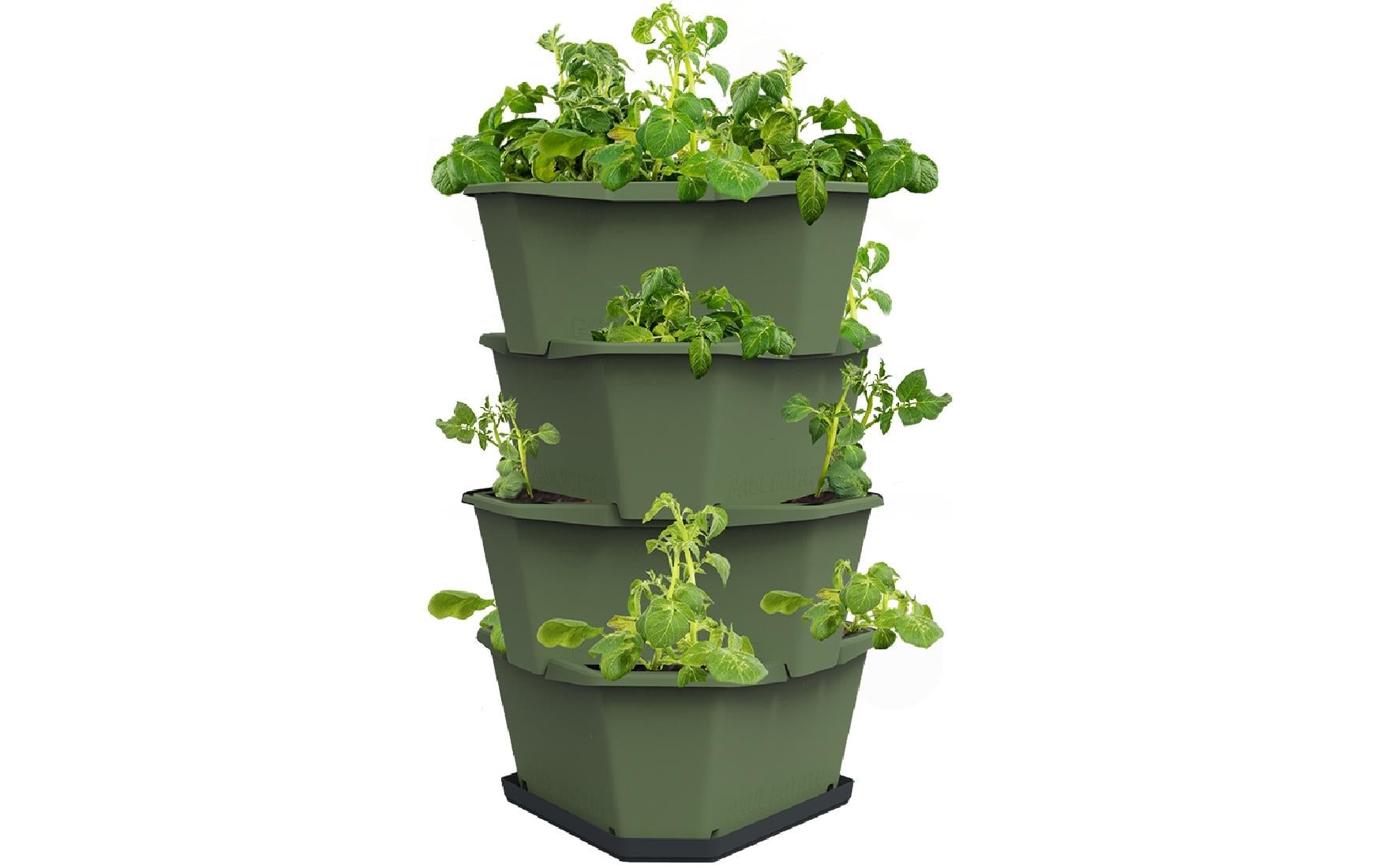 Image of Gusta Garden Pflanzkübel "PAUL POT"